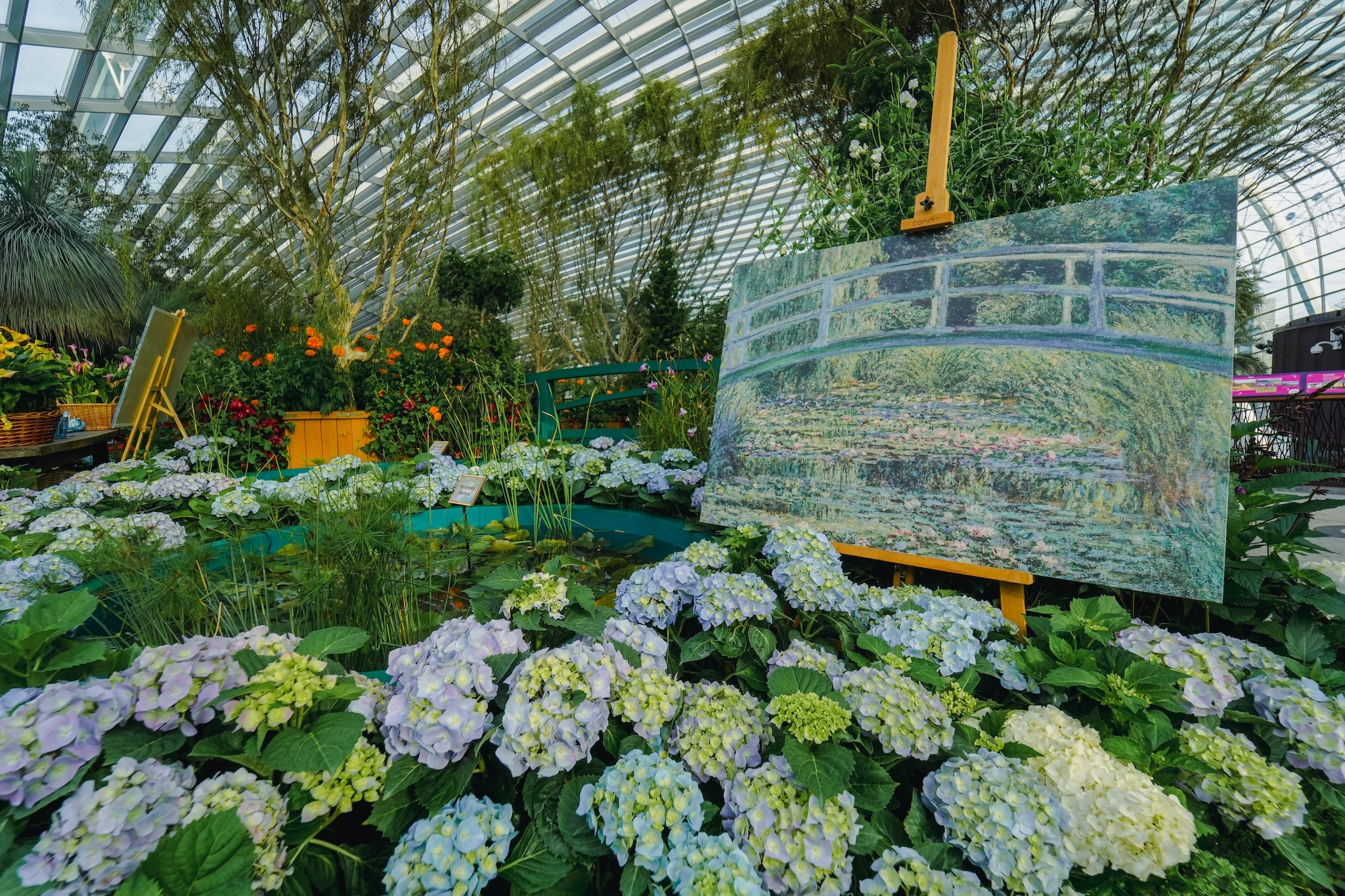 Impressions of Monet