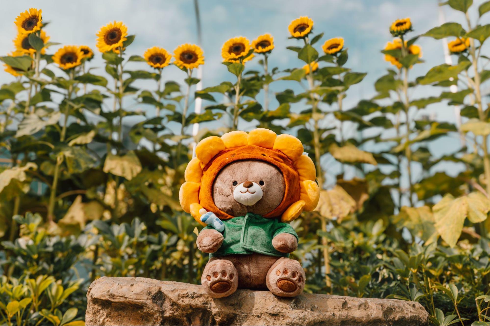 A Sunflower Sojourn at Singapore Changi Airport