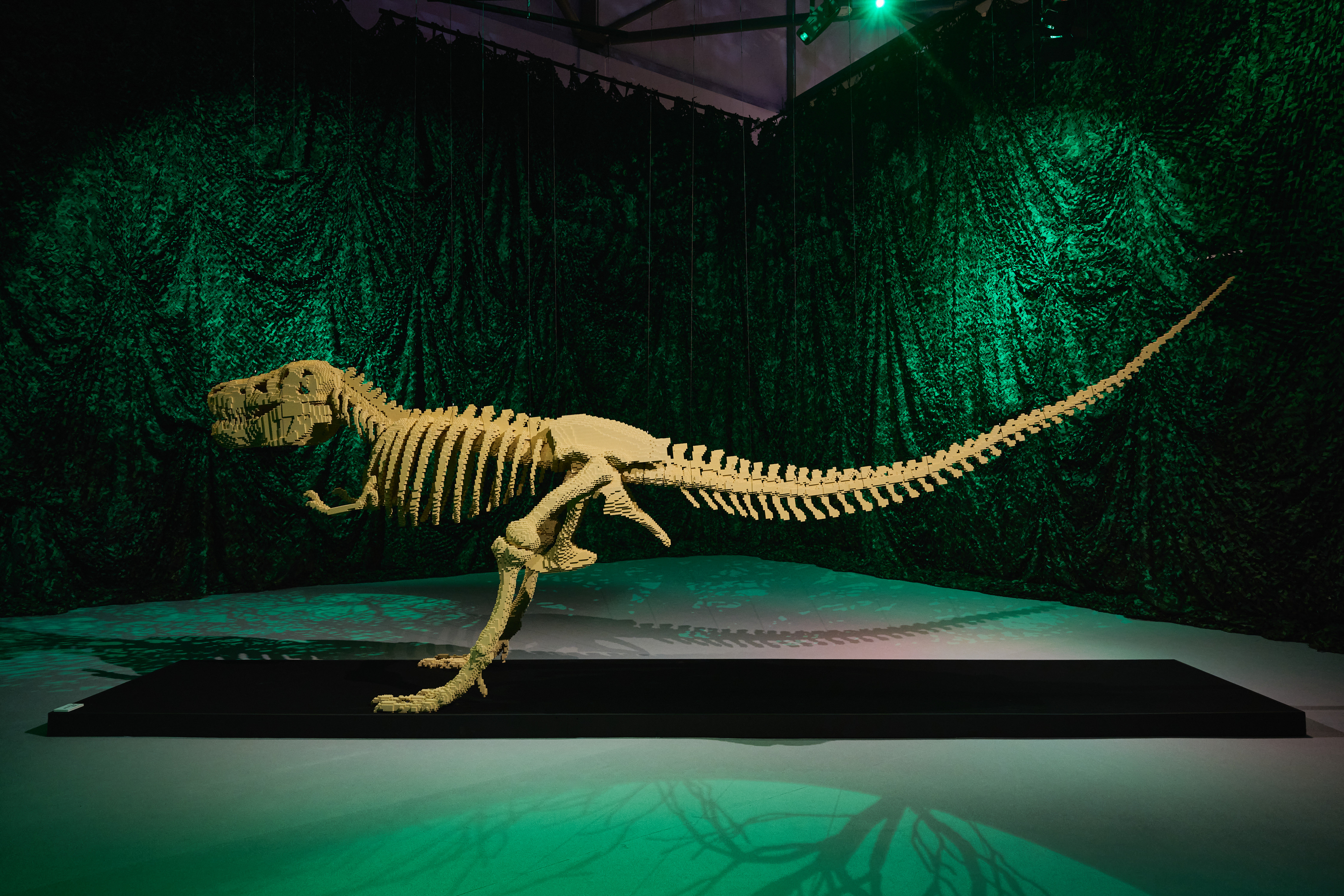 Art of the Brick