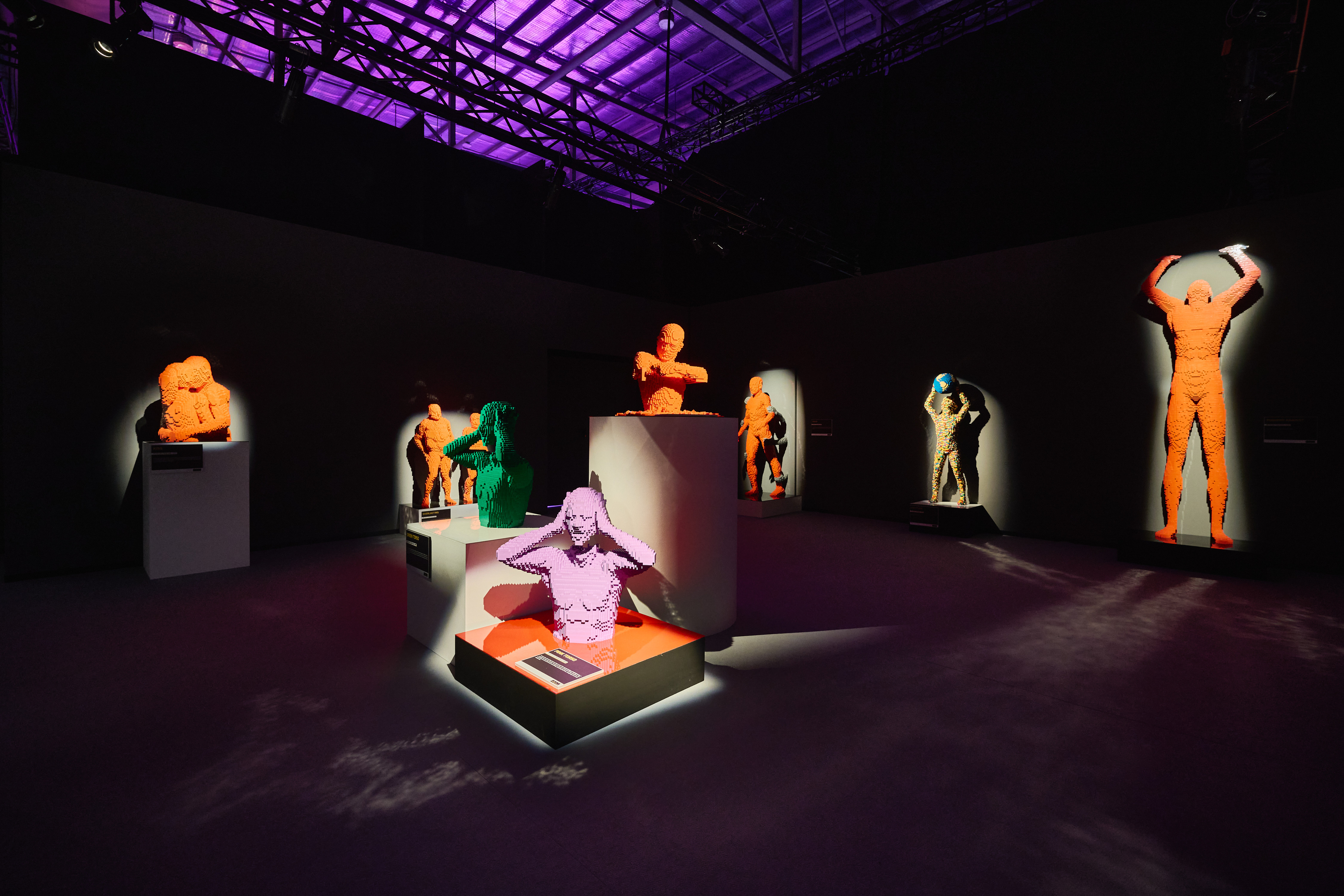 Art of the Brick