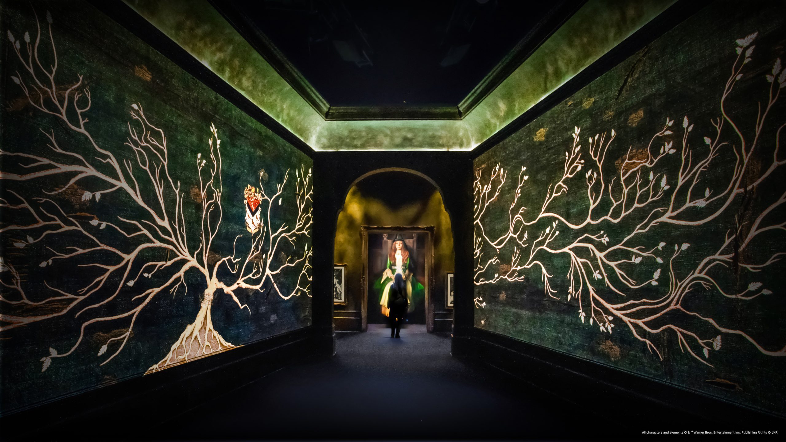 Harry Potter Visions of Magic Singapore