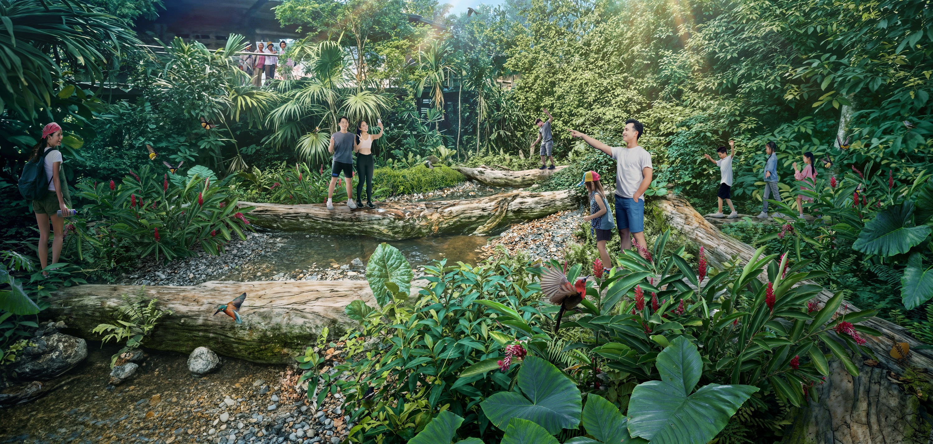 Rainforest Wild Asia
