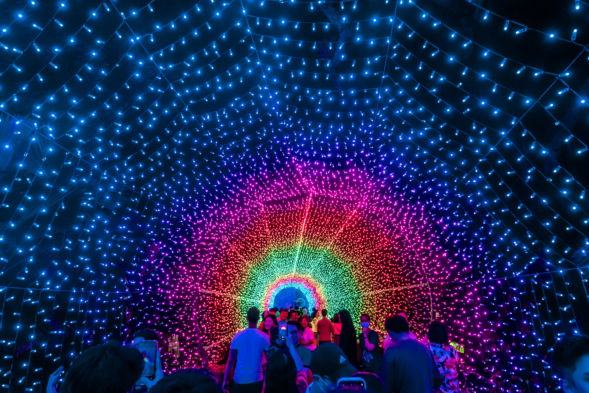 Christmas Wonderland 2024