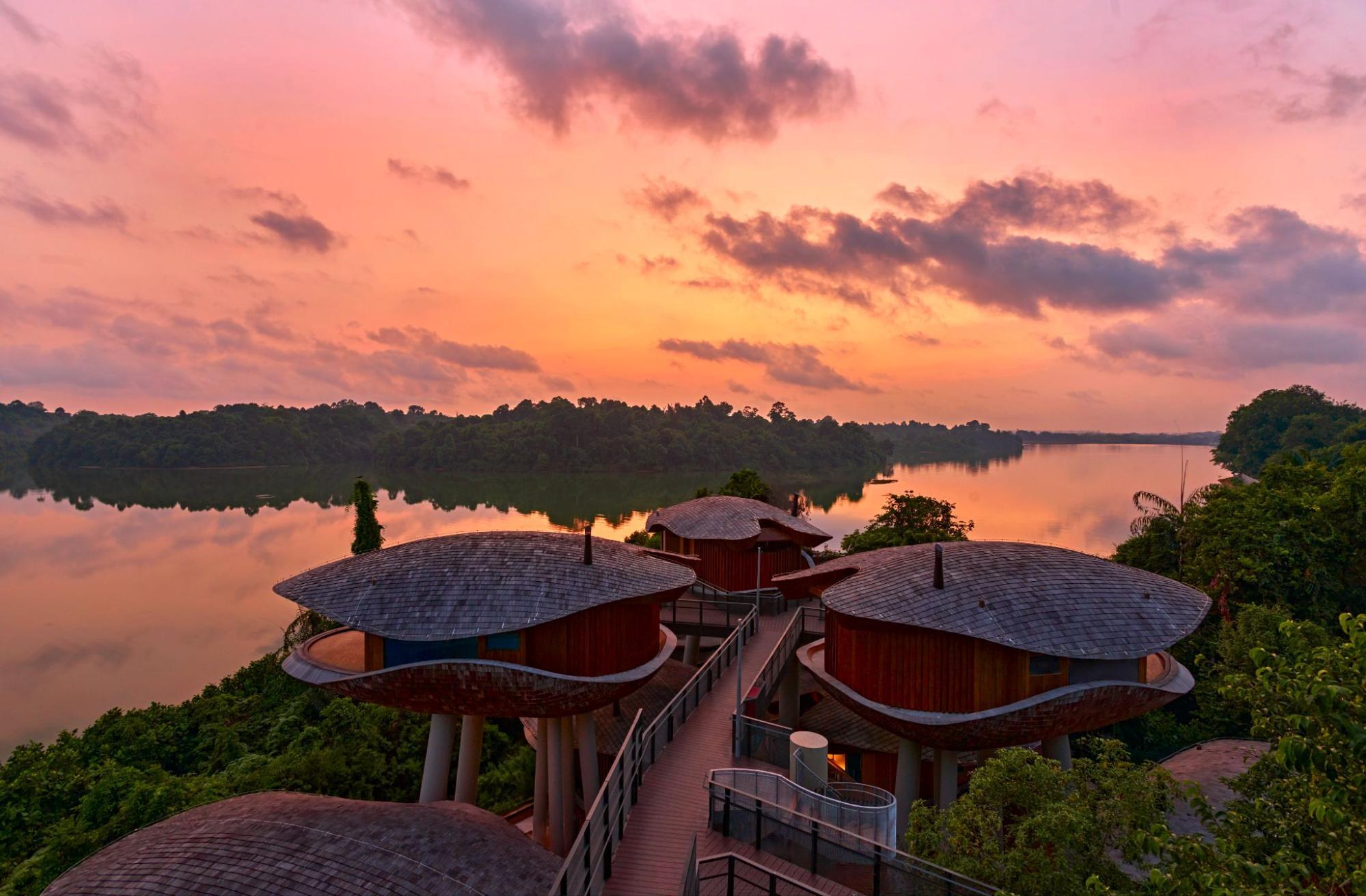 Mandai Rainforest Resort Singapore treehouses