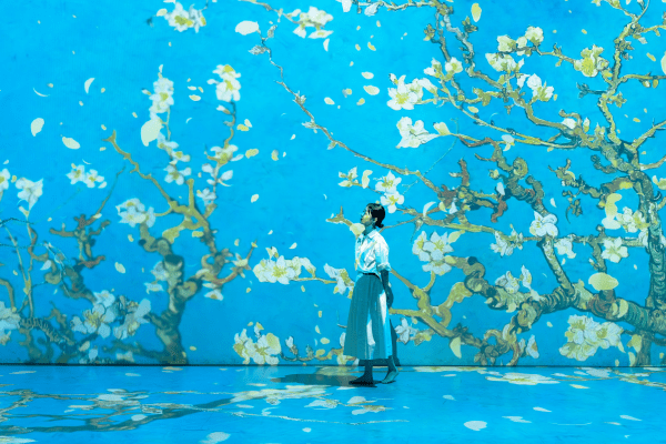 Van Gogh Inside: Love, Vincent exhibition