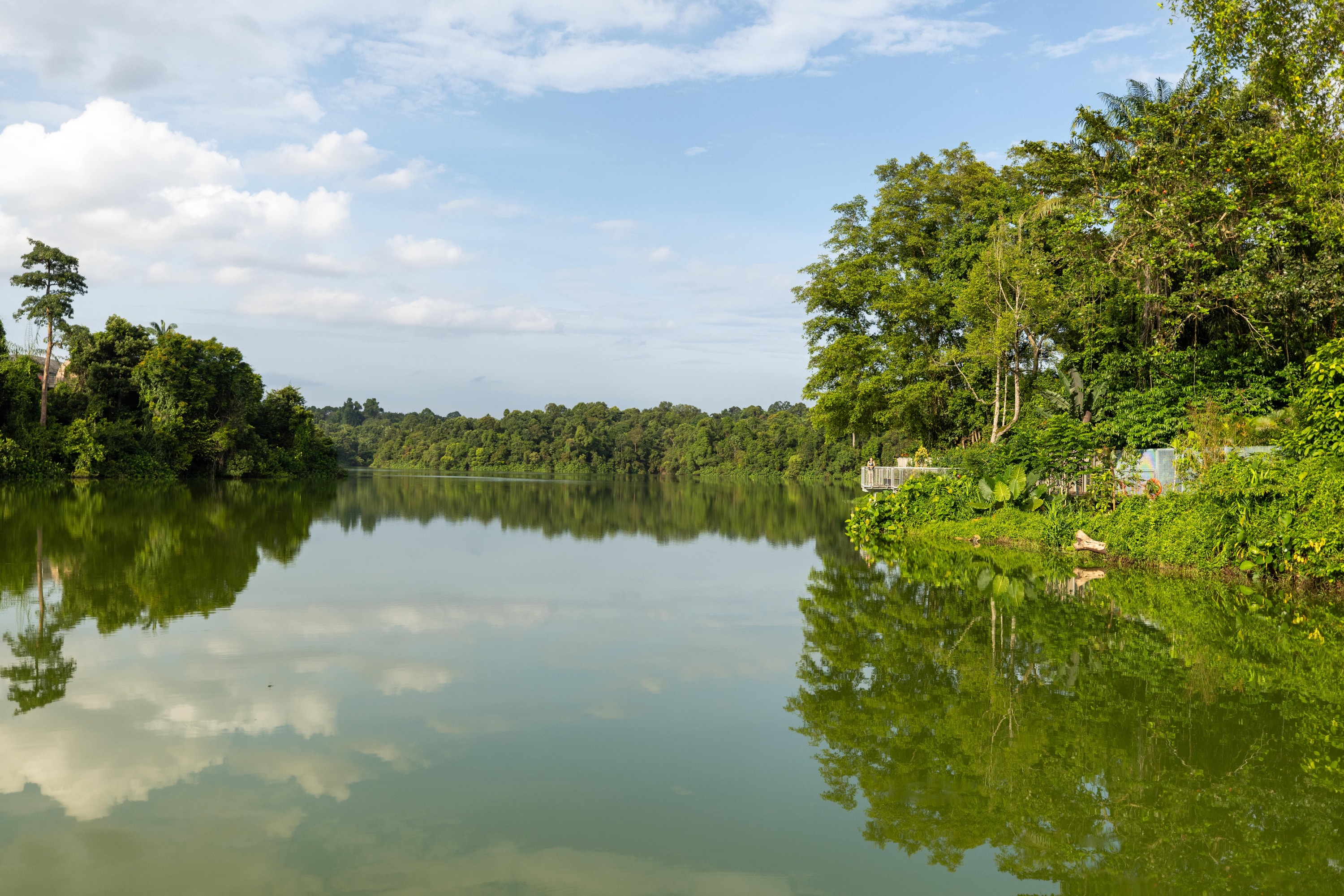 Mandai Boardwalk Seletar Reservoir view