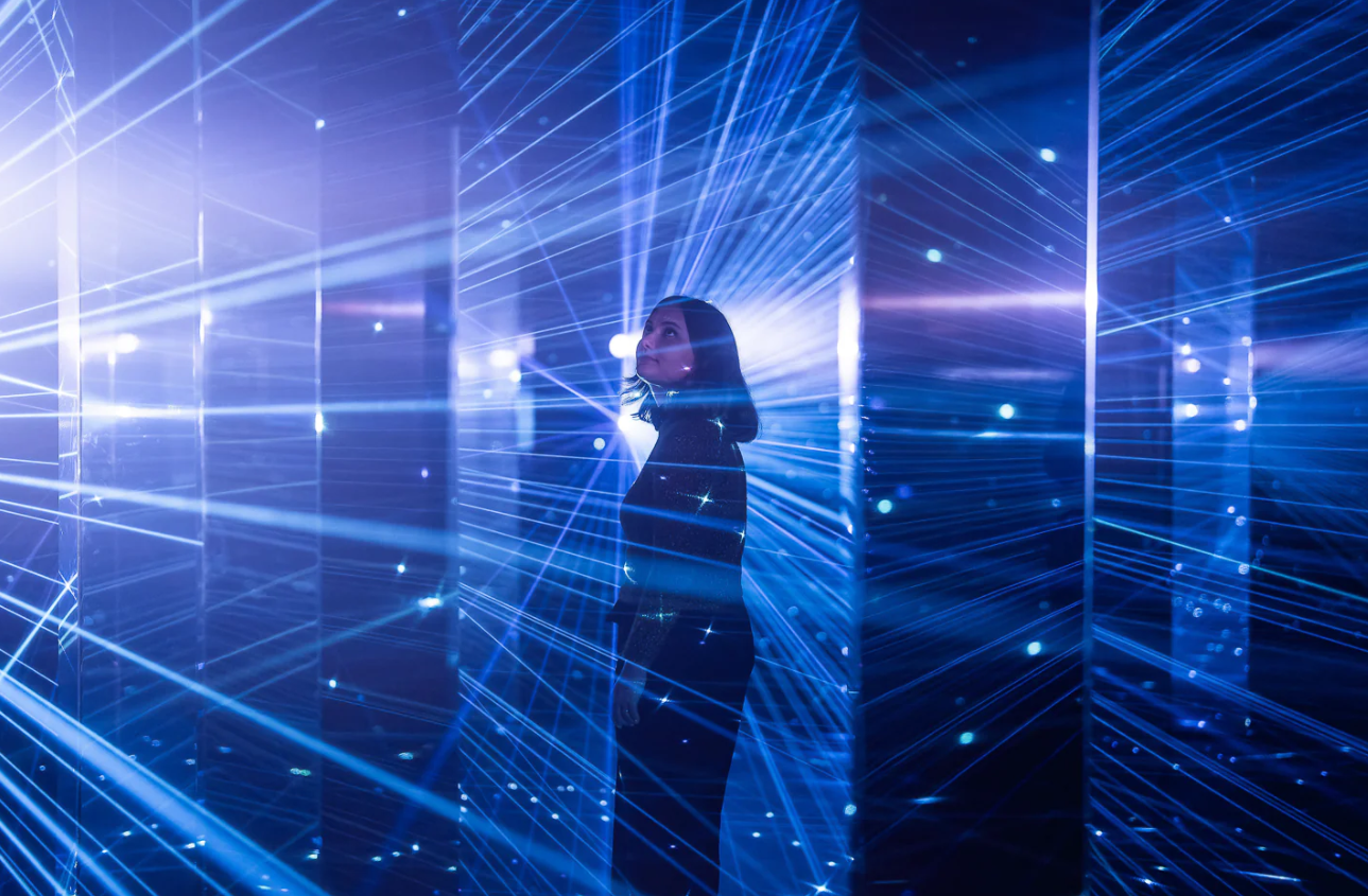 Installation view of Mirror Mirror's Forest of Echoes at Calgary, 2024