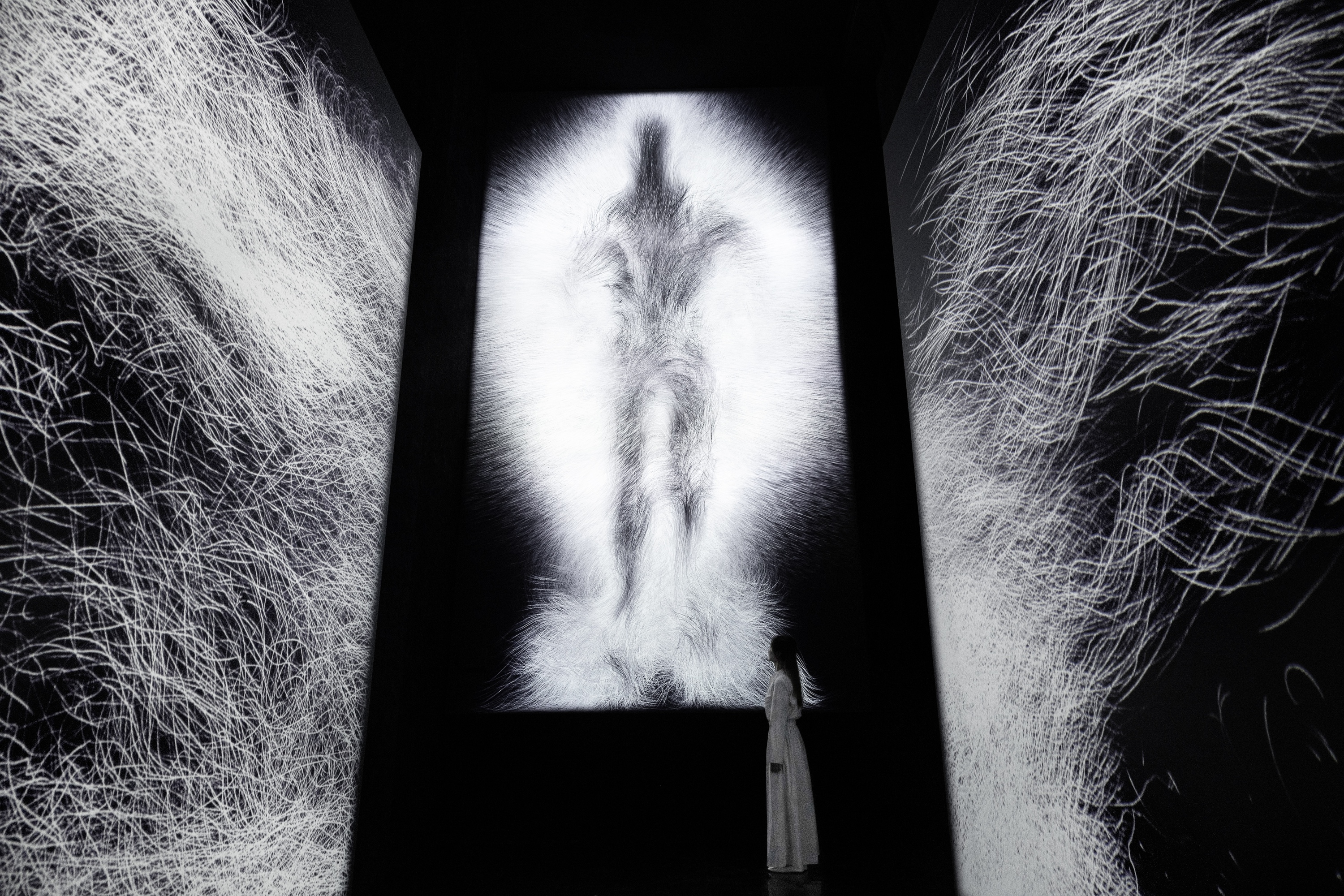 Full installation view of Dissipative Figures – Human, Light in Dark and 1000 Birds, Light in Dark
