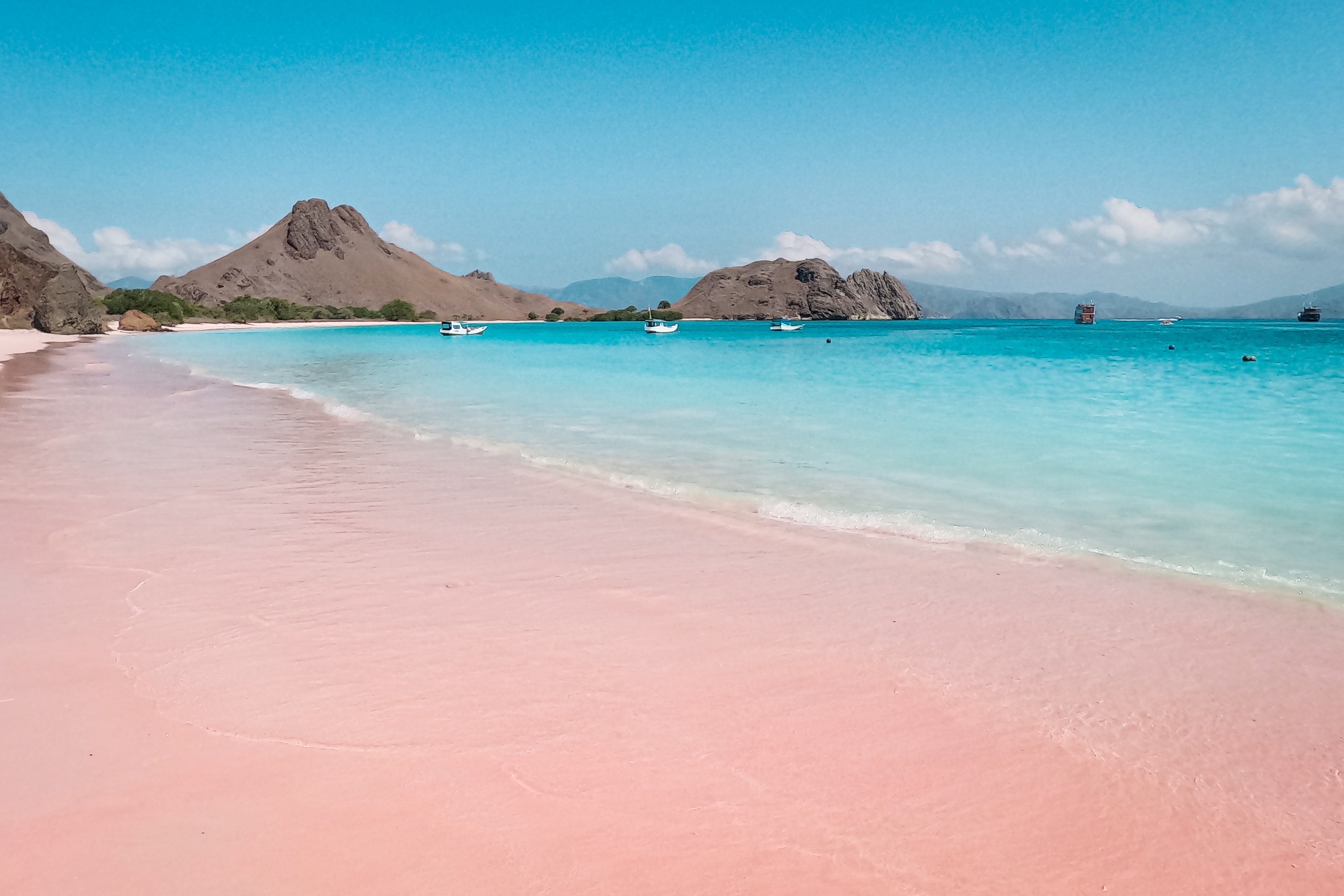 Komodo Island day trip from Labuan Bajo with direct flights from Singapore