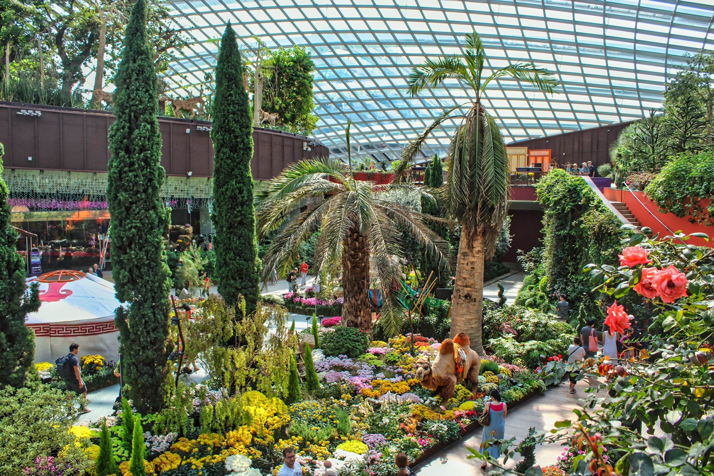 SG60 Wonder Blooms deal for Gardens by the Bay's Flower Dome in Singapore