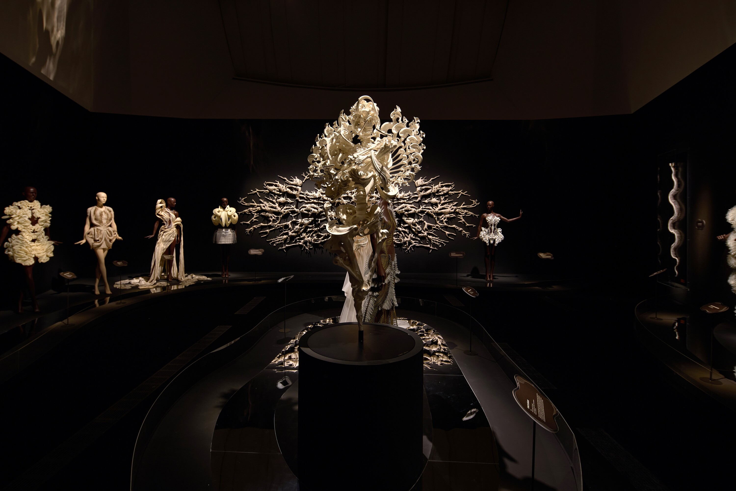 iris van herpen