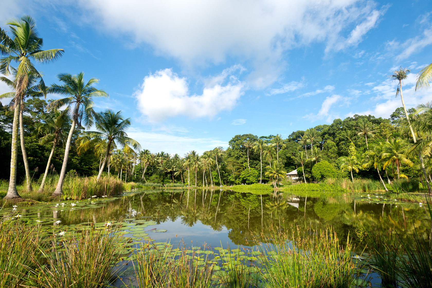 Singapore is the city with the fourth most green spaces in the world