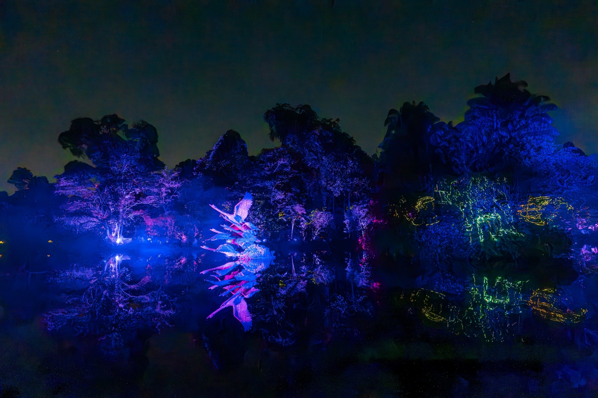 Singapore Botanic Gardens Light Show