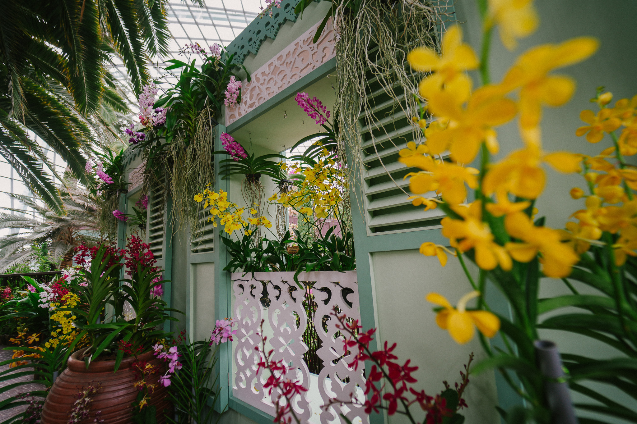 Truly Asia Orchids