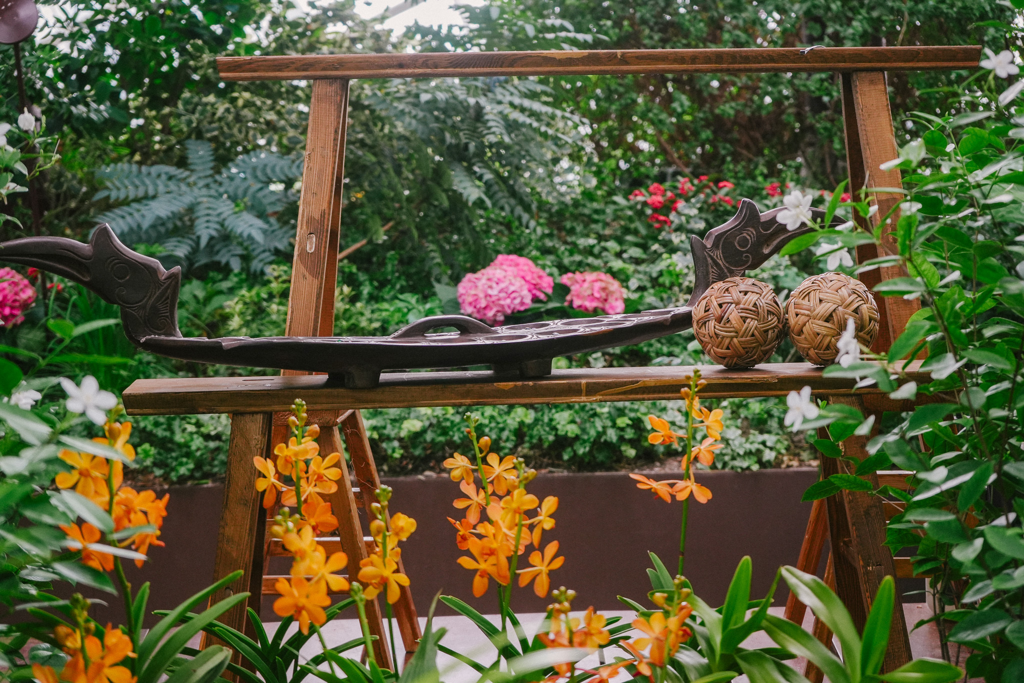Truly Asia Orchids