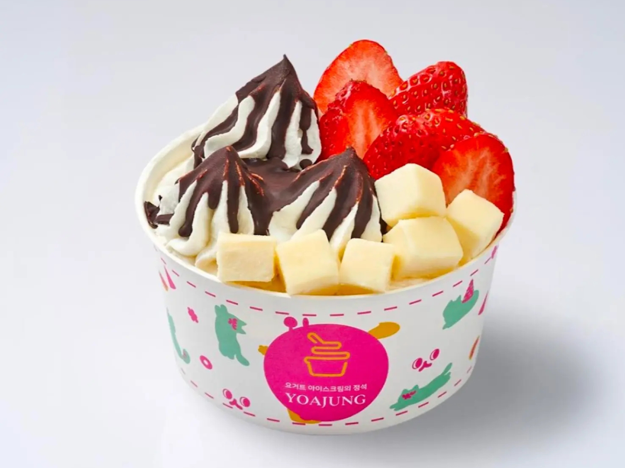 Yoajung frozen yoghurt