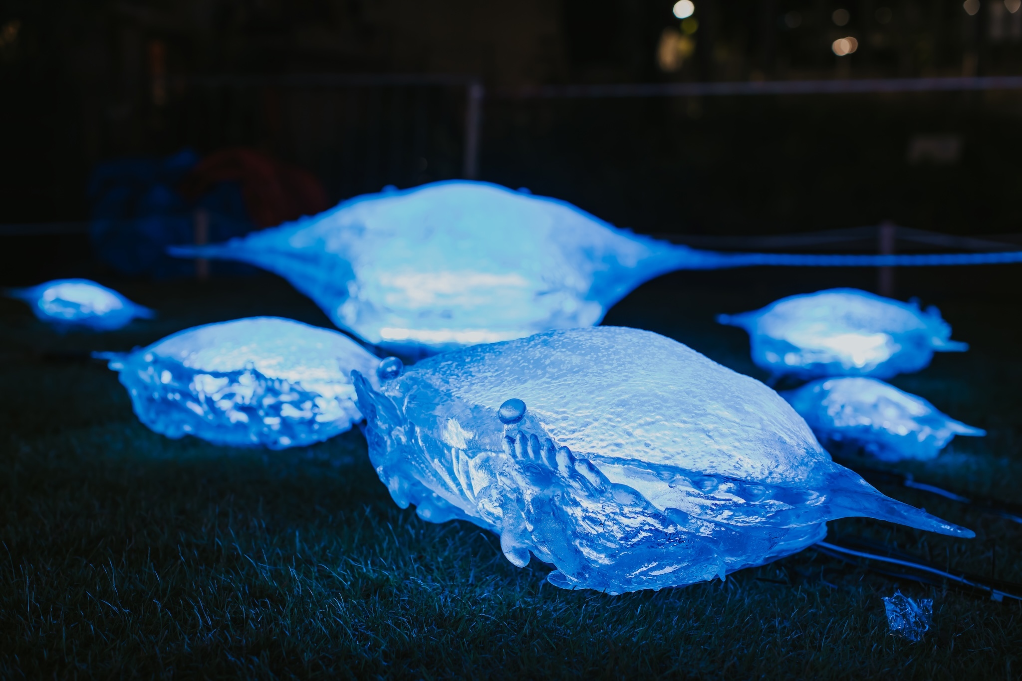 Singapore Night Festival