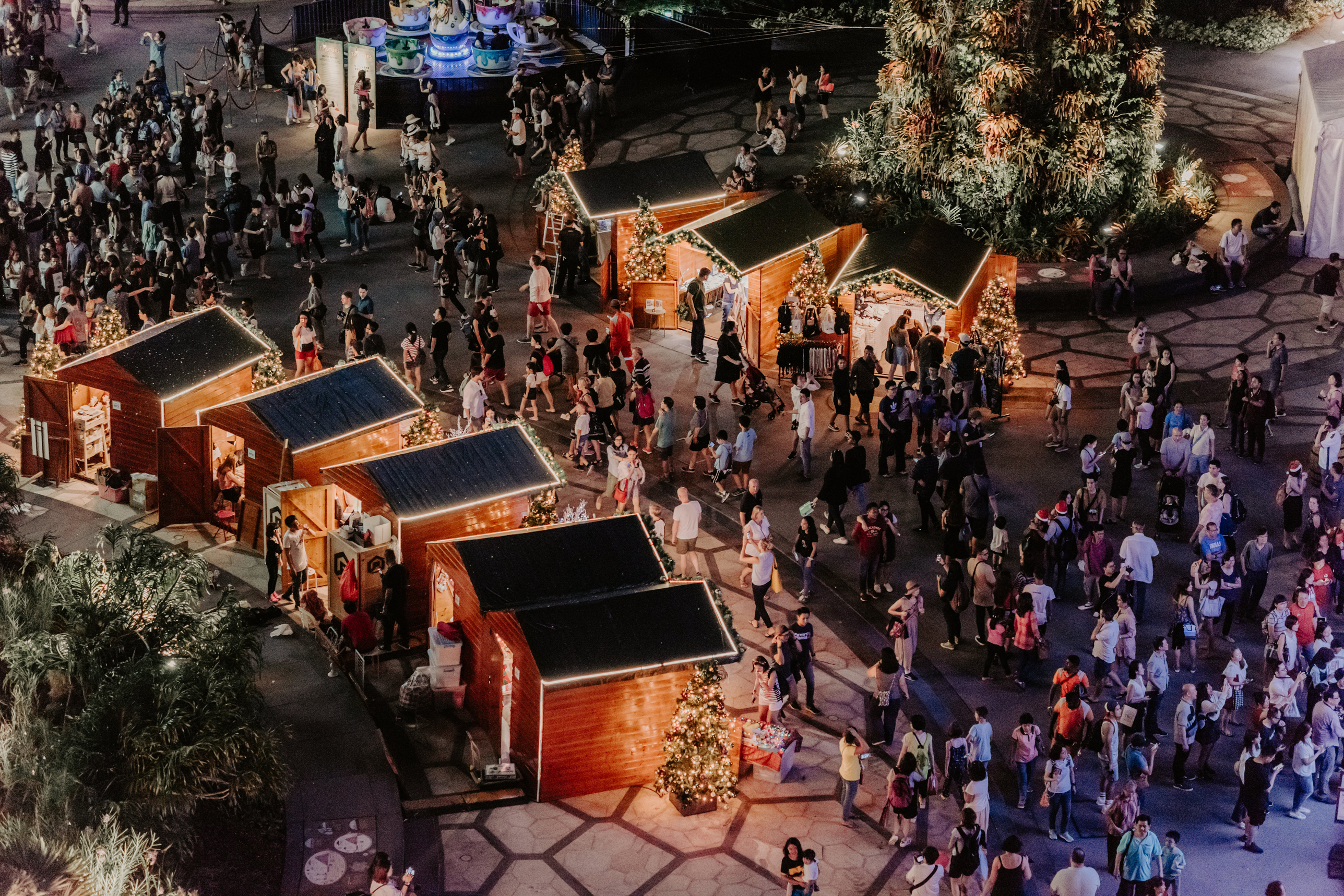 Christmas-Wonderland