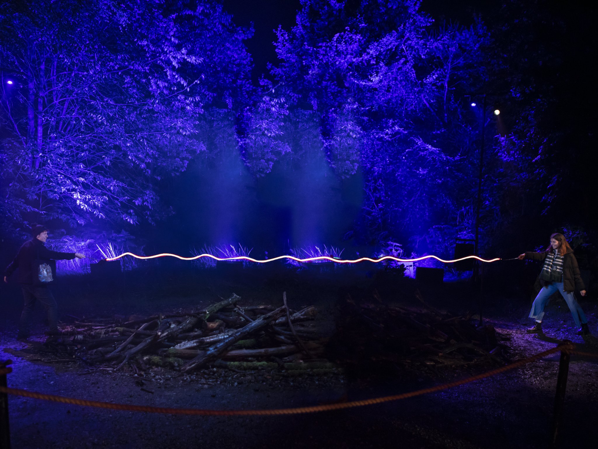 Harry Potter: A Forbidden Forest Experience