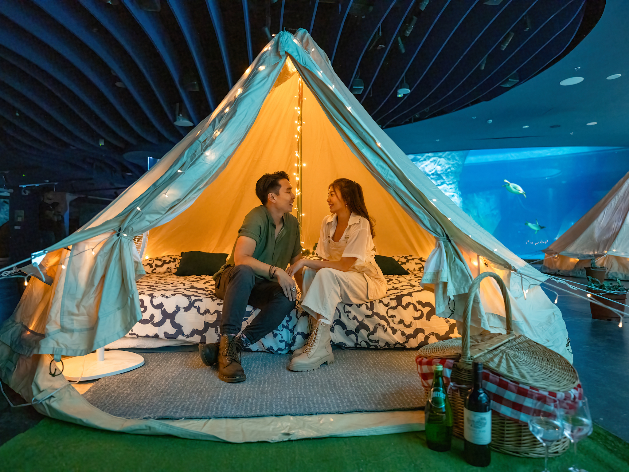 Glamping with the Penguins