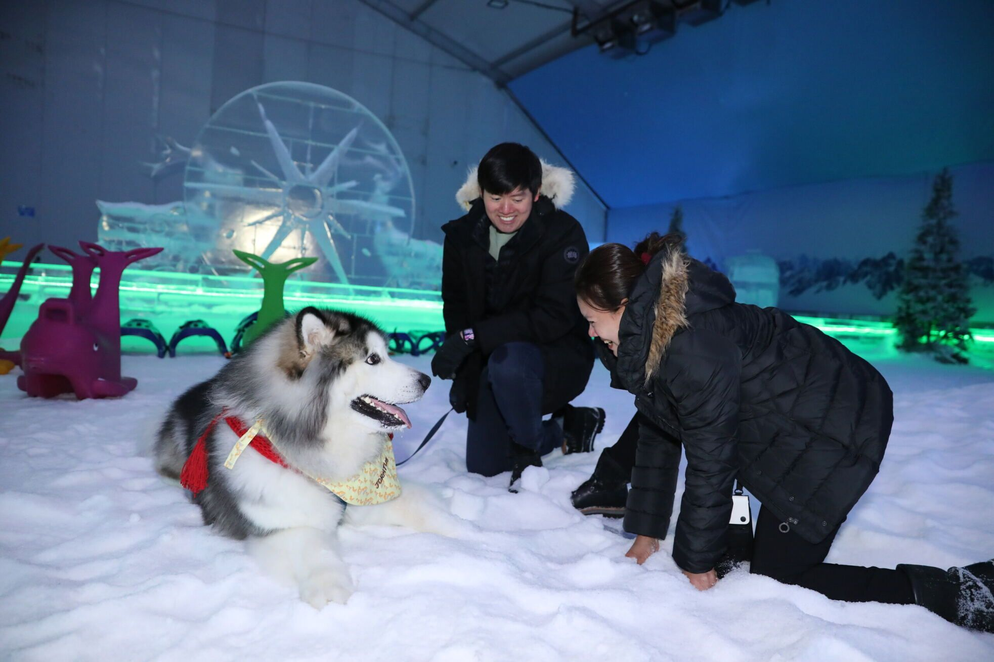 Four Paws @ Ice Magic: dog-friendly winter pop-up in Singapore