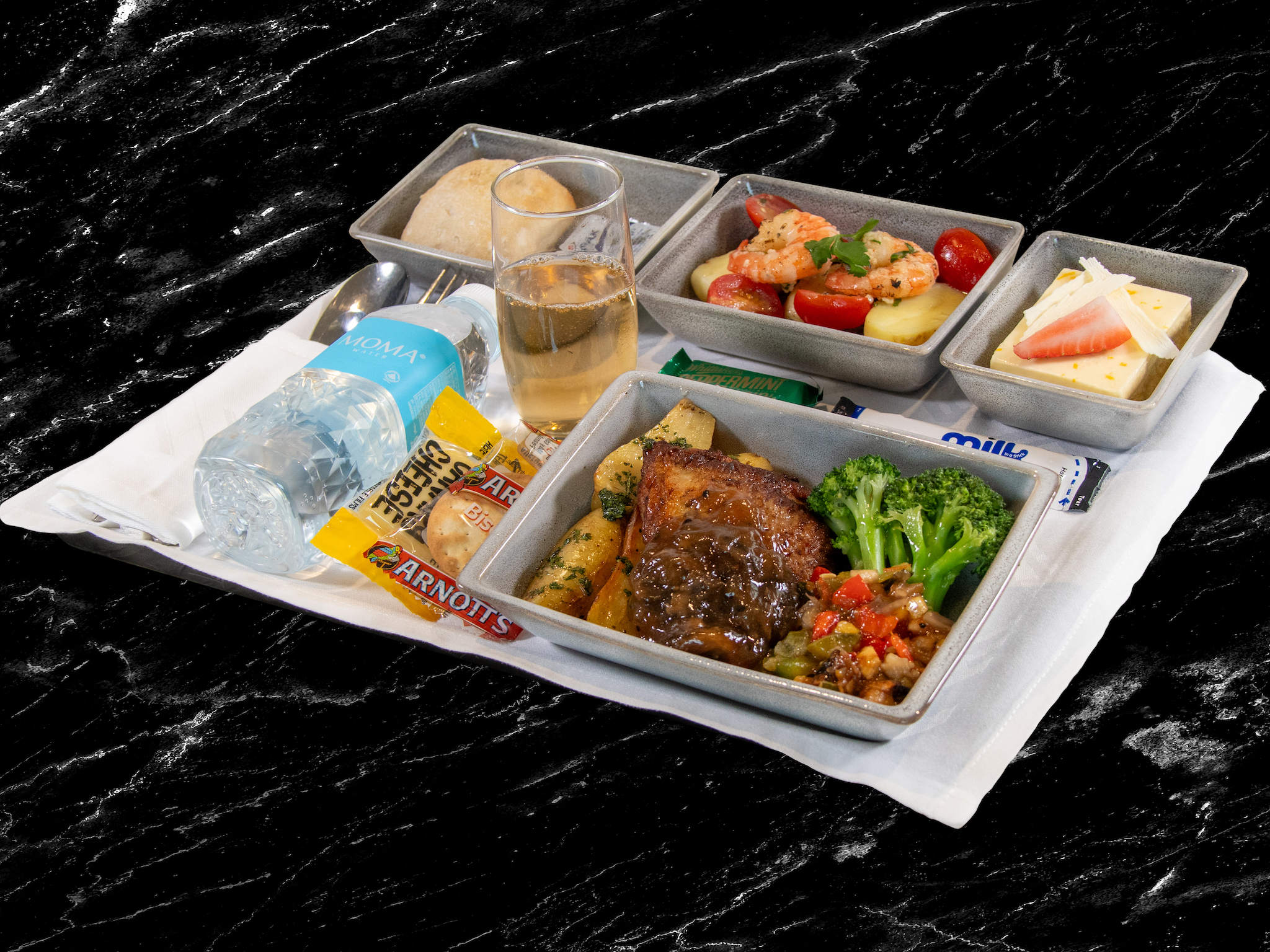 Singapore Airlines premium economy