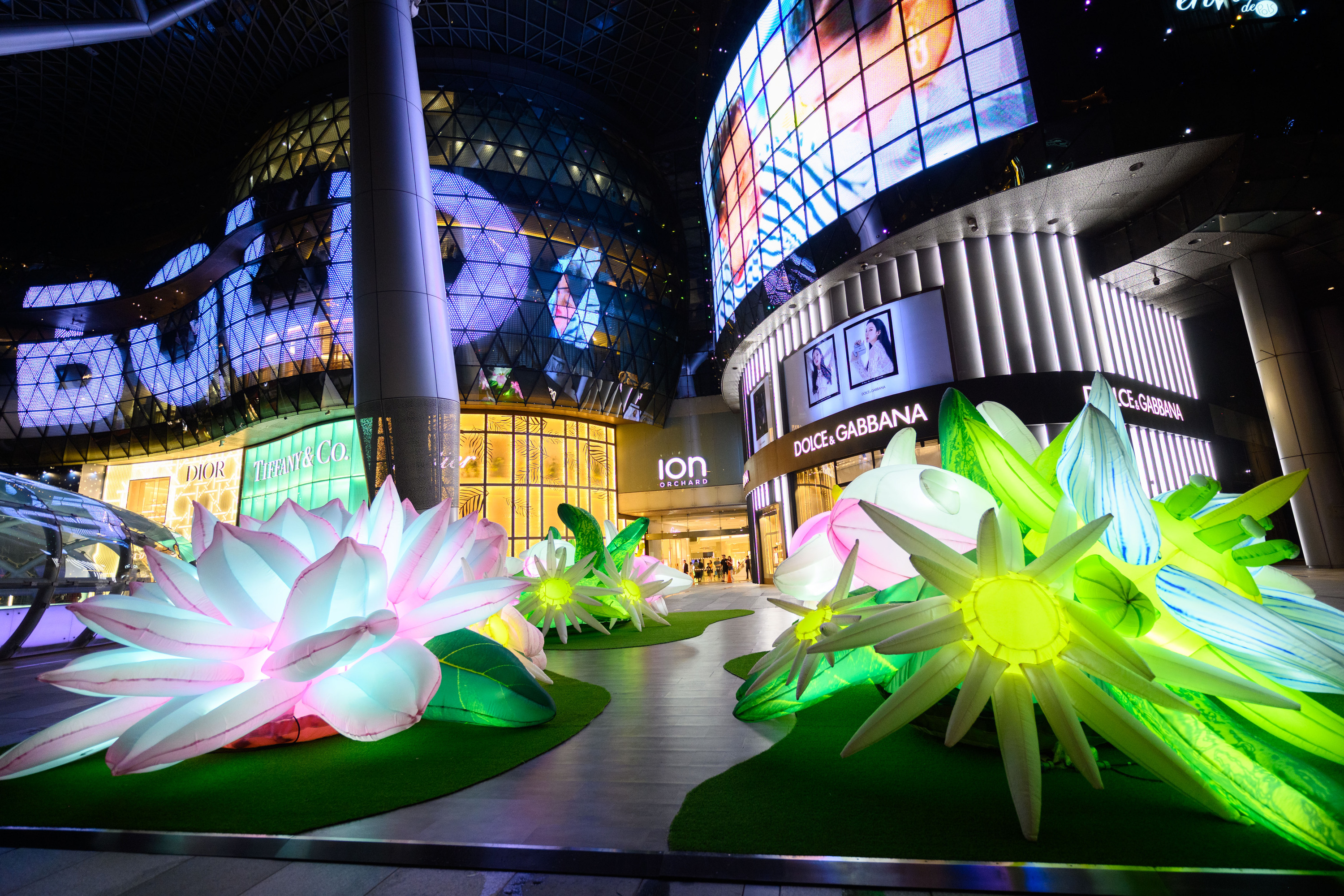 ION Orchard