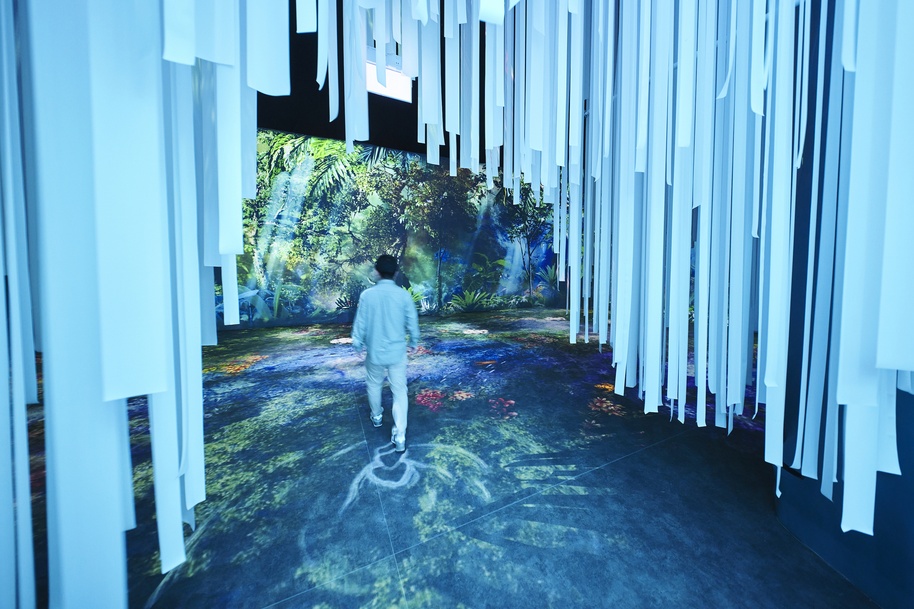 The Hidden Forest