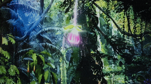 The Hidden Forest