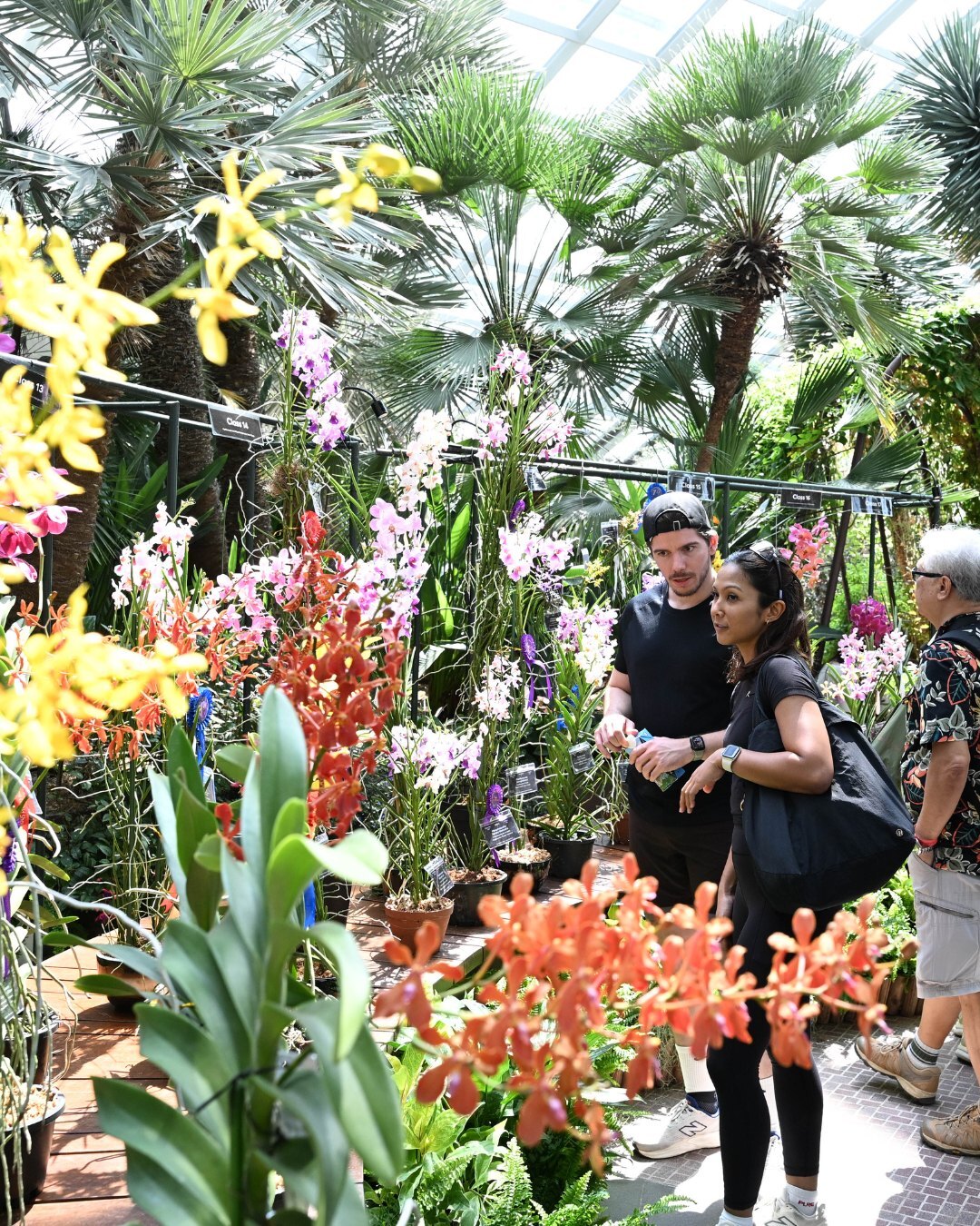 Singapore Garden Festival