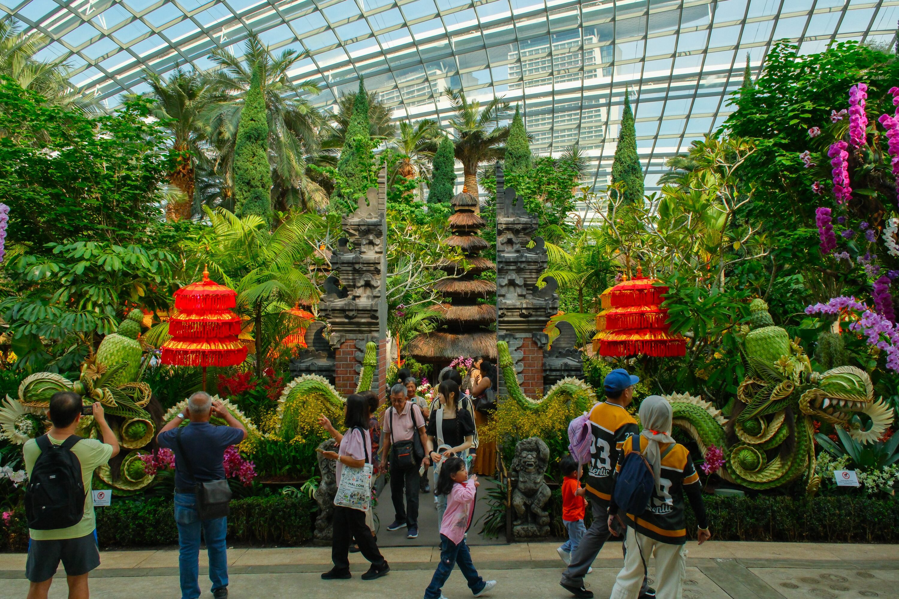 Orchid Extravaganza: Rhythm of the Rainforest