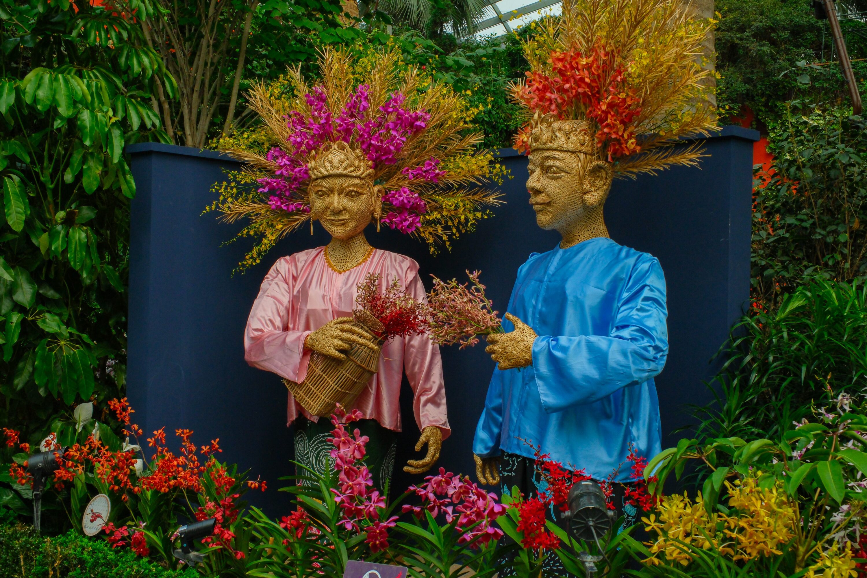 Orchid Extravaganza: Rhythm of the Rainforest