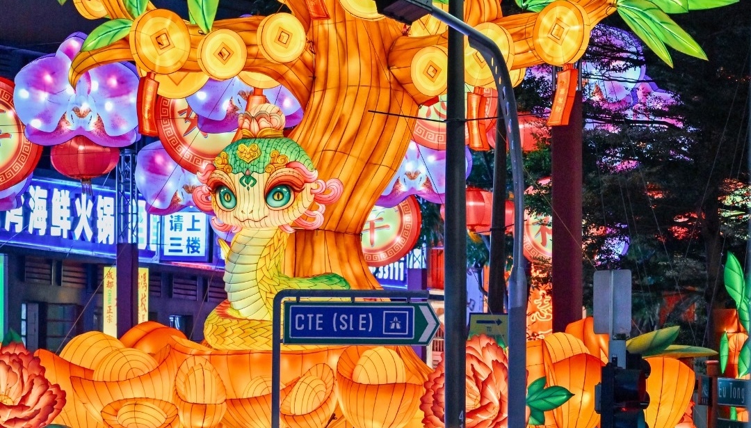 Snake chinese new year 2025