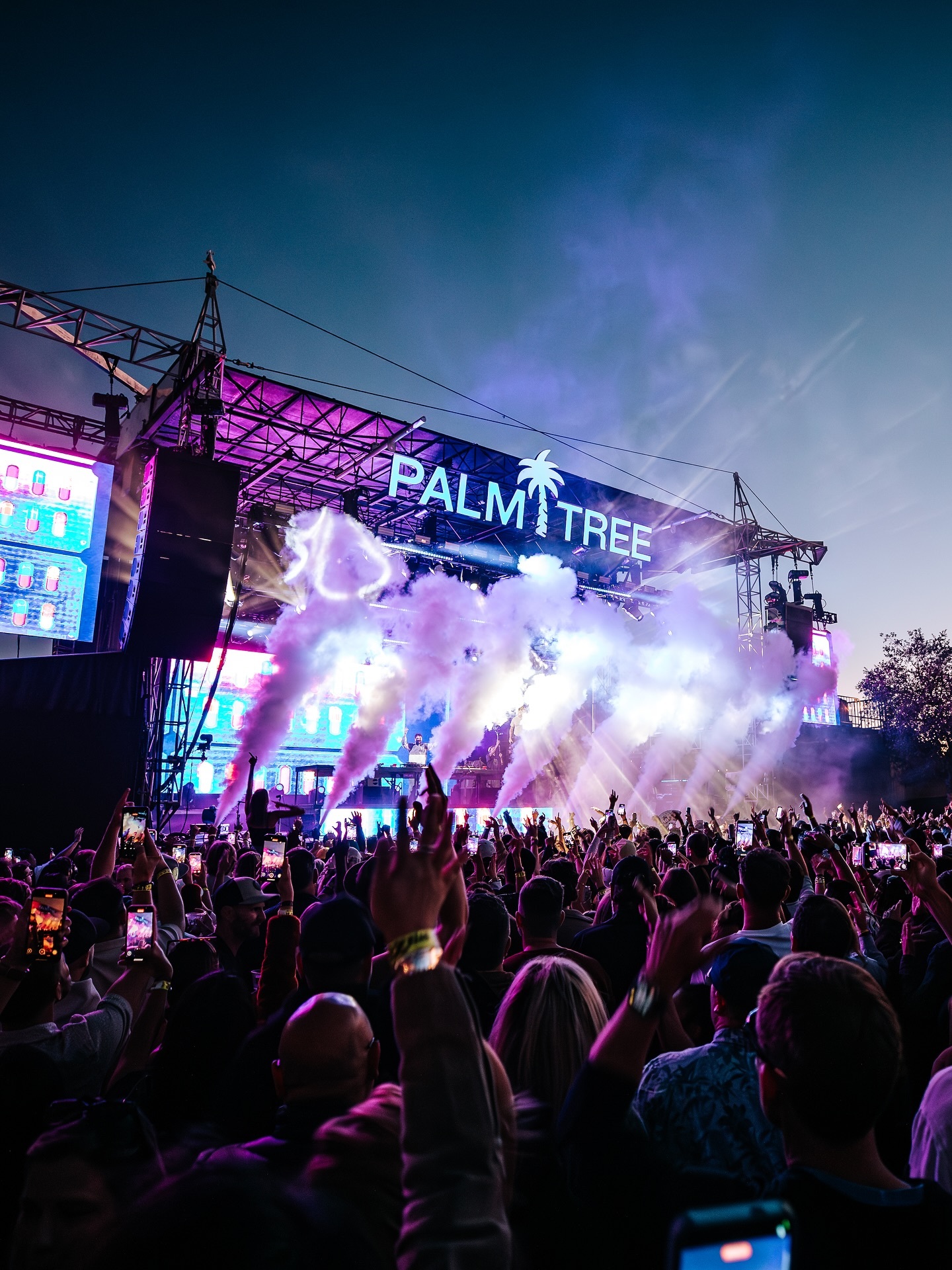 Palm Tree Festival