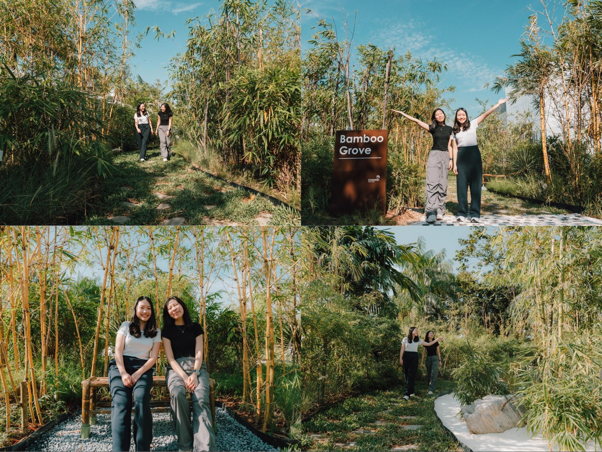 Changi Airport Bamboo Grove