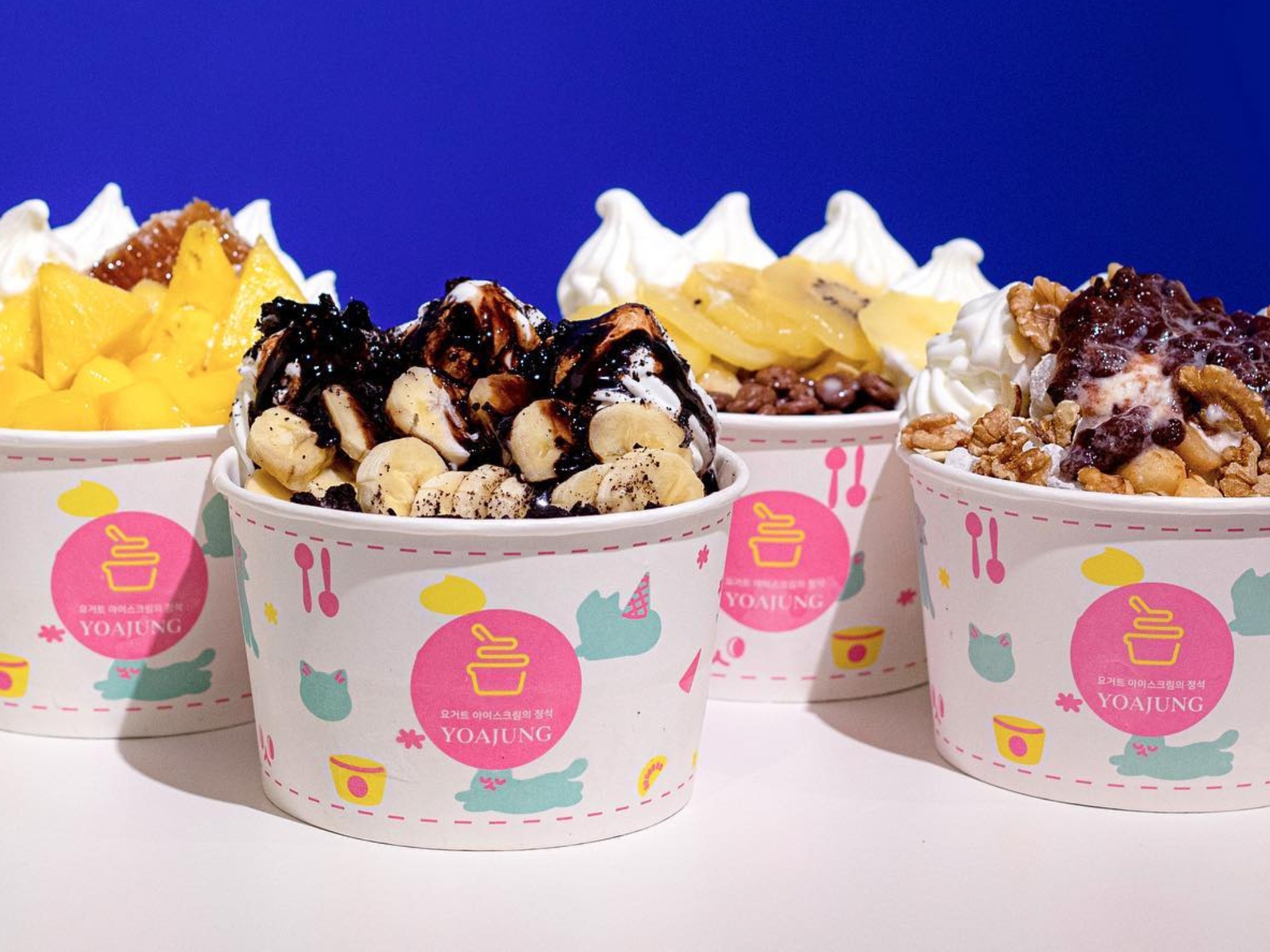 Yoajung frozen yoghurt
