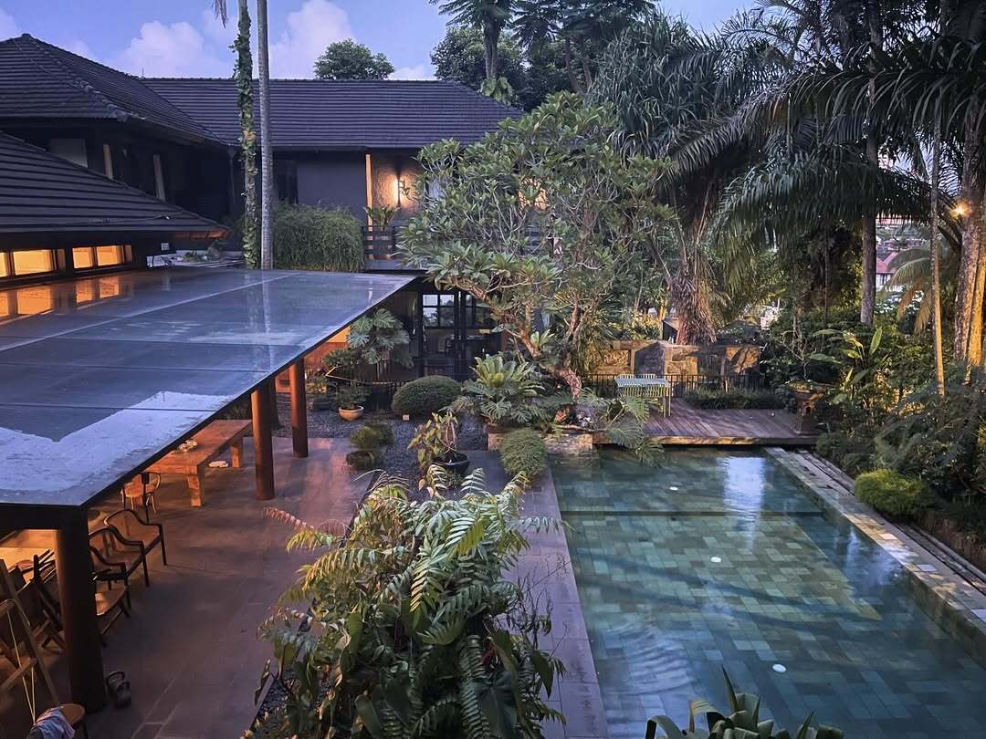 Fork In The Jungle