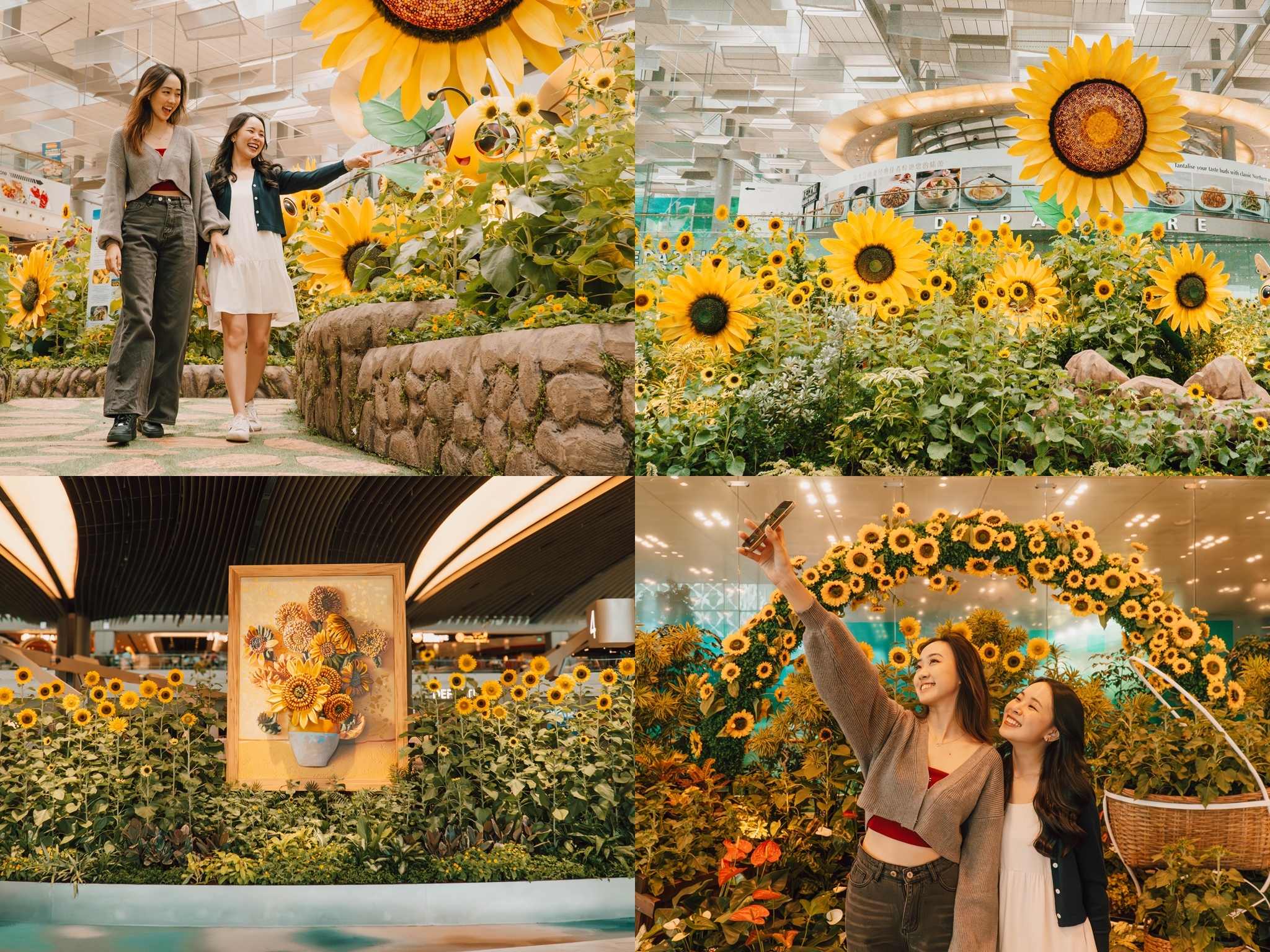 A Sunflower Sojourn at Singapore Changi Airport