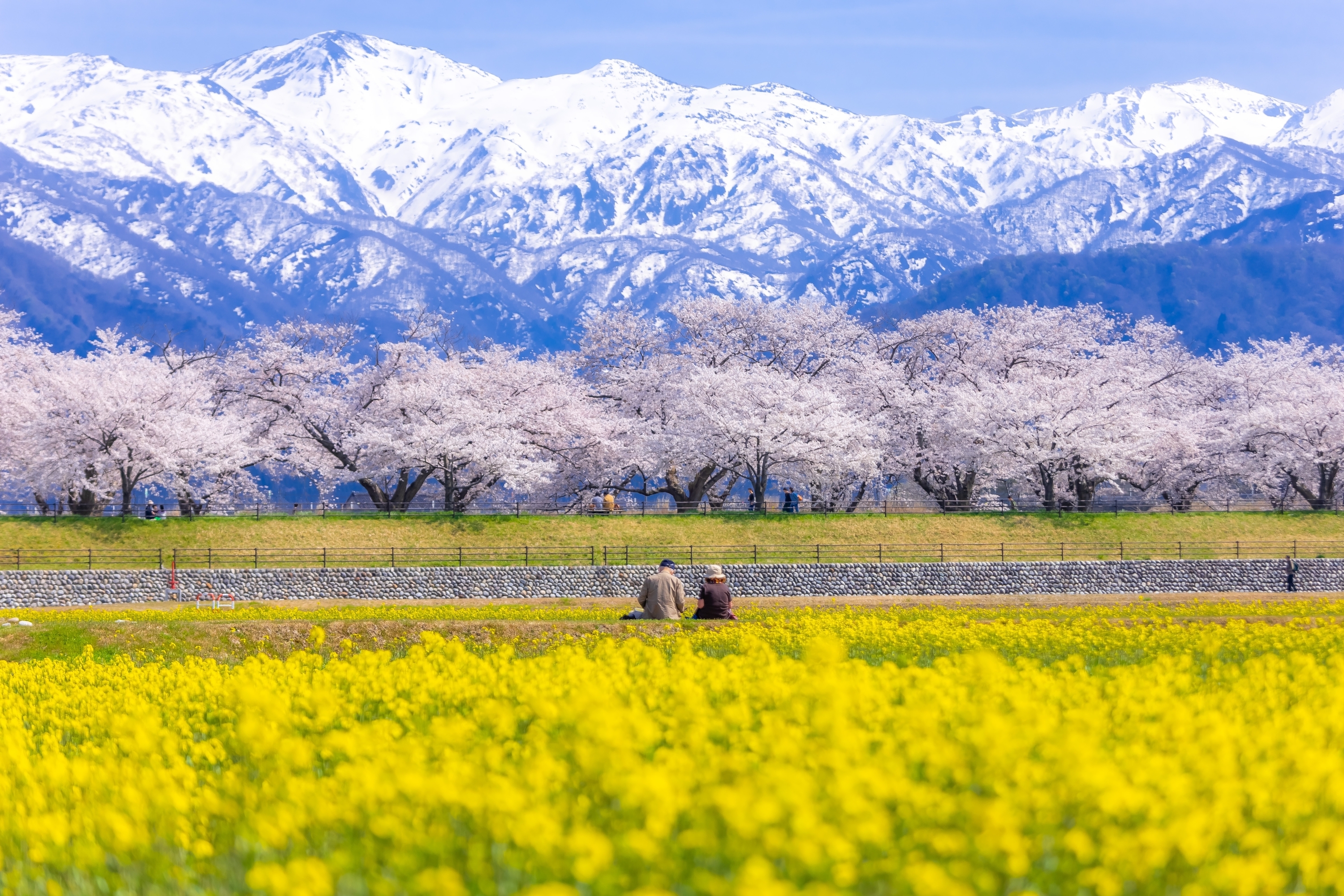 Most affordable Japan flights from Singapore 2025