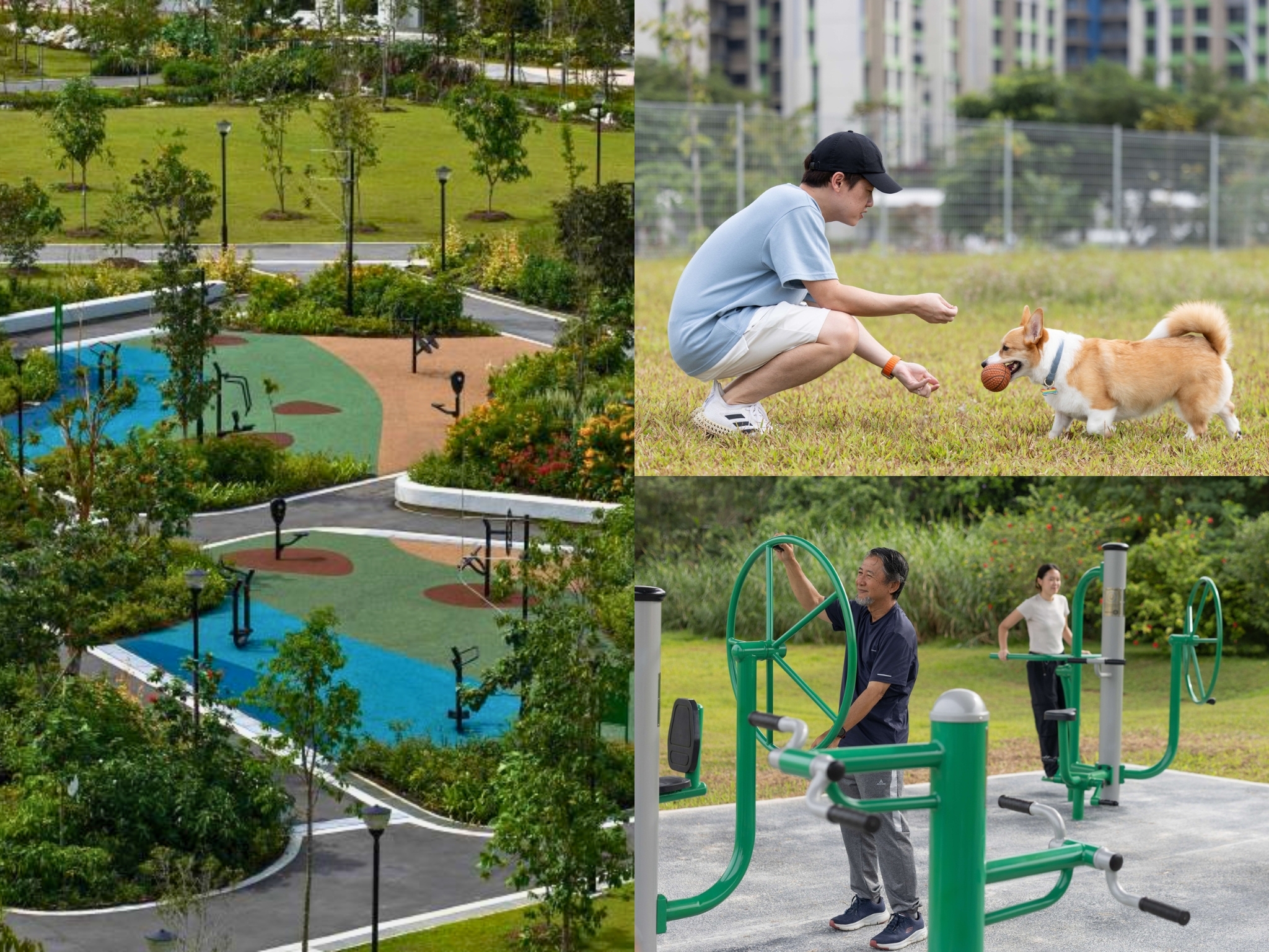 Tampines Boulevard Park