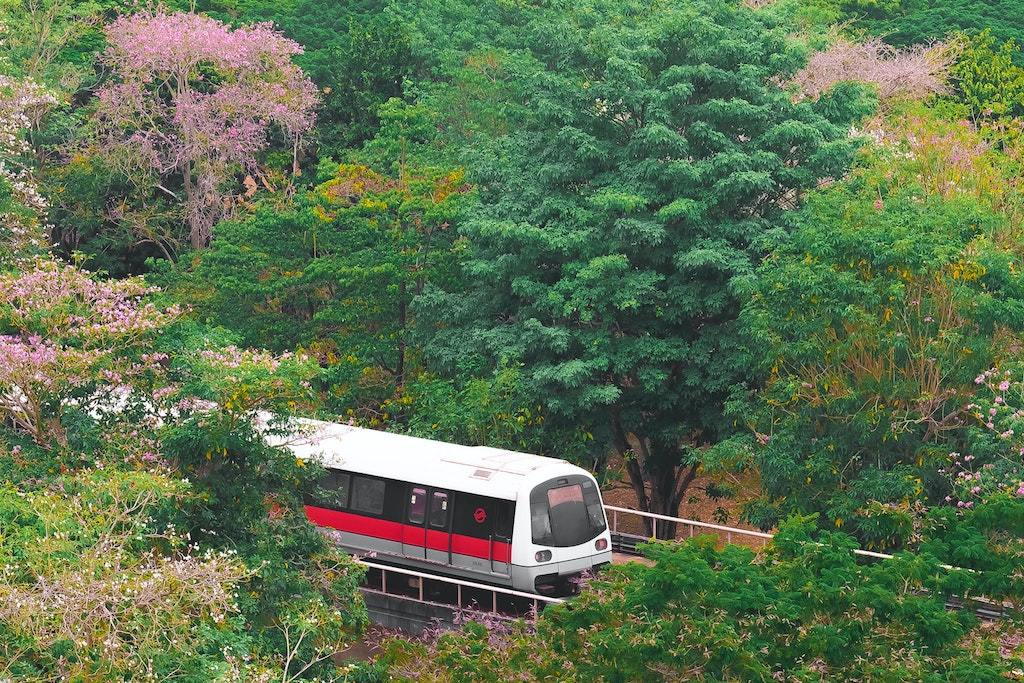 mrt