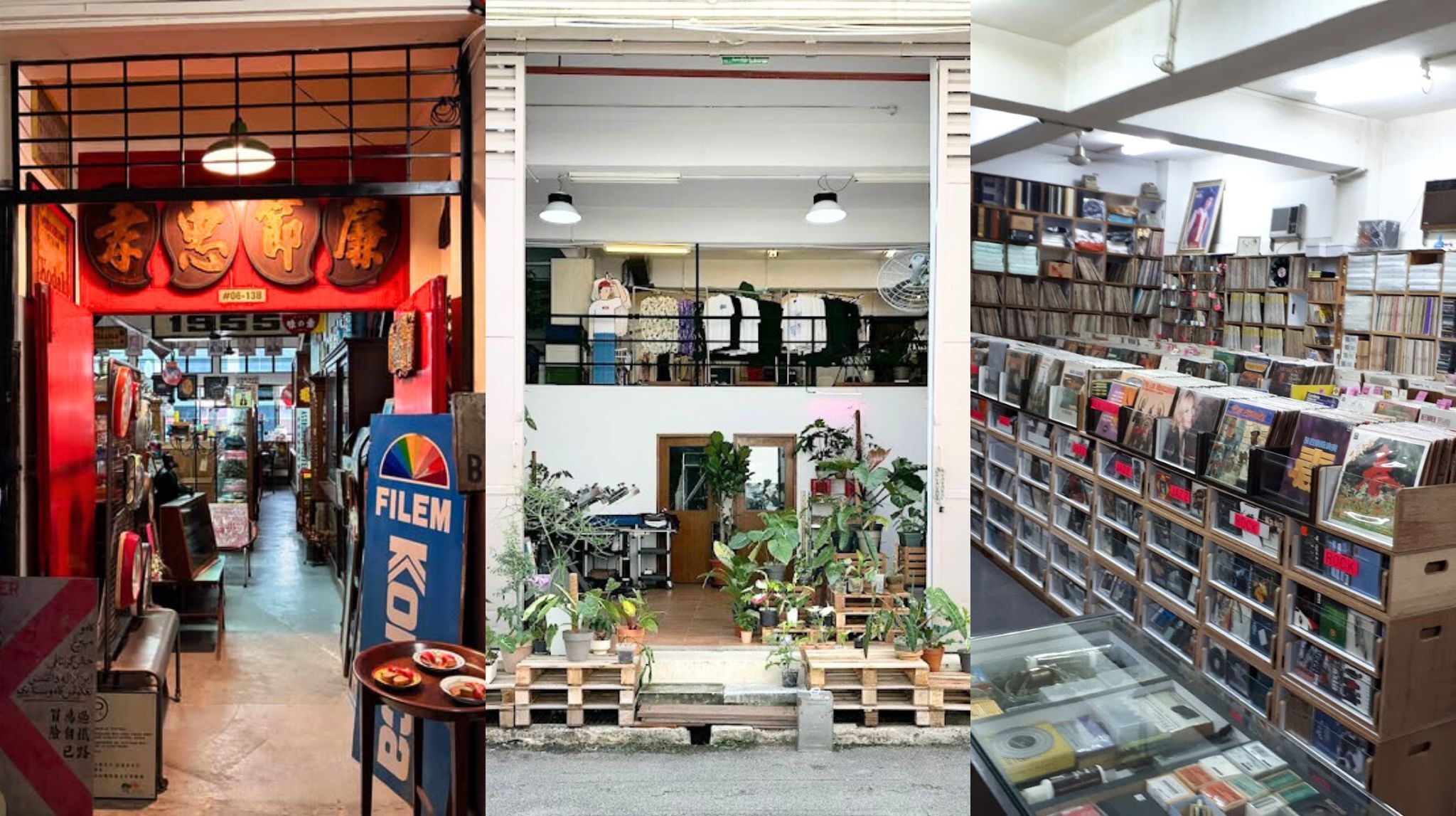 Treasure At Home, Open Door Store, Red Point Records Warehouse
