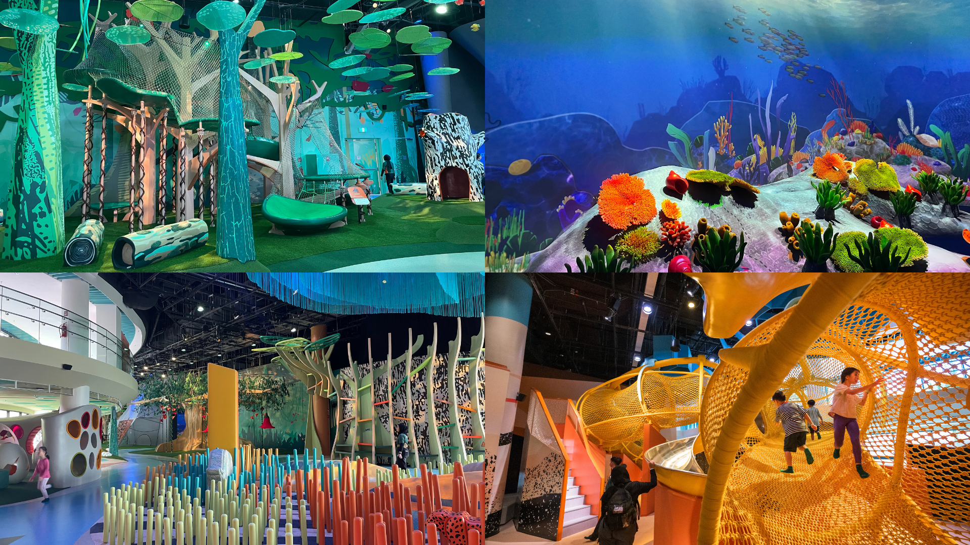Curiosity Cove