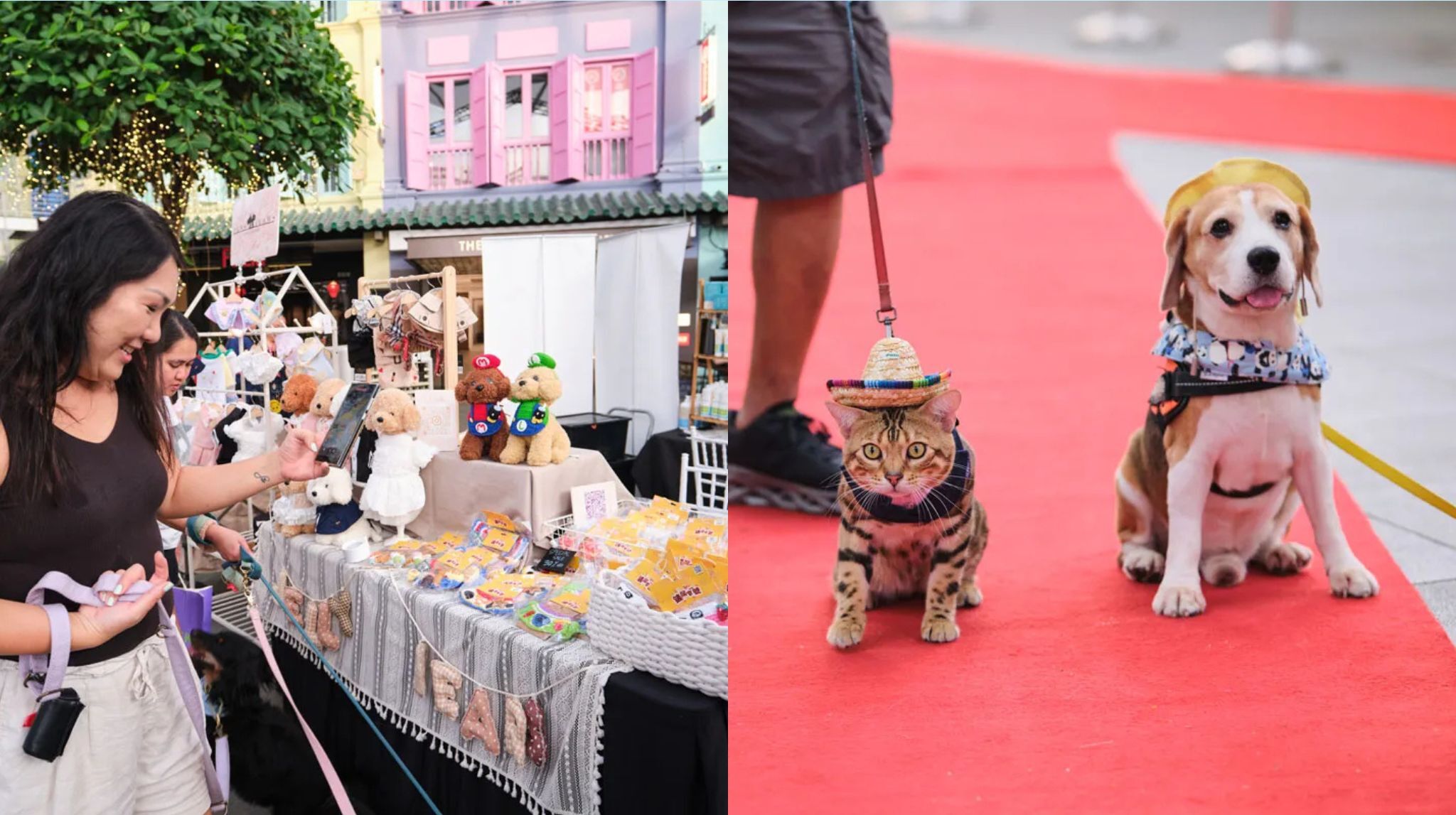 furkids fiesta