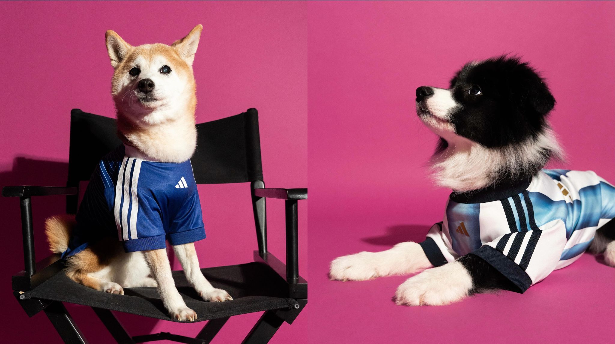 adidas singapore pet collection