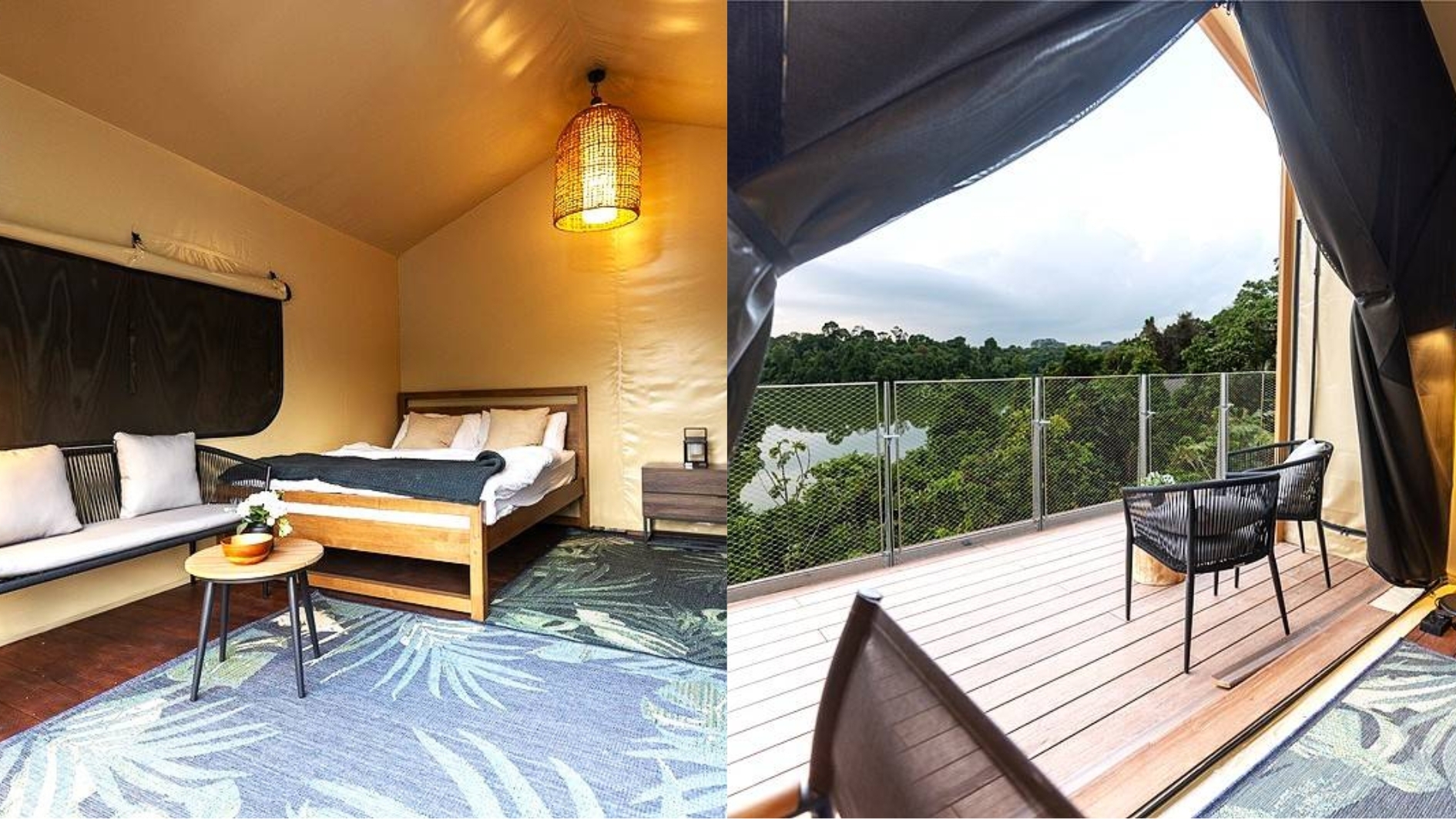 Colugo camp