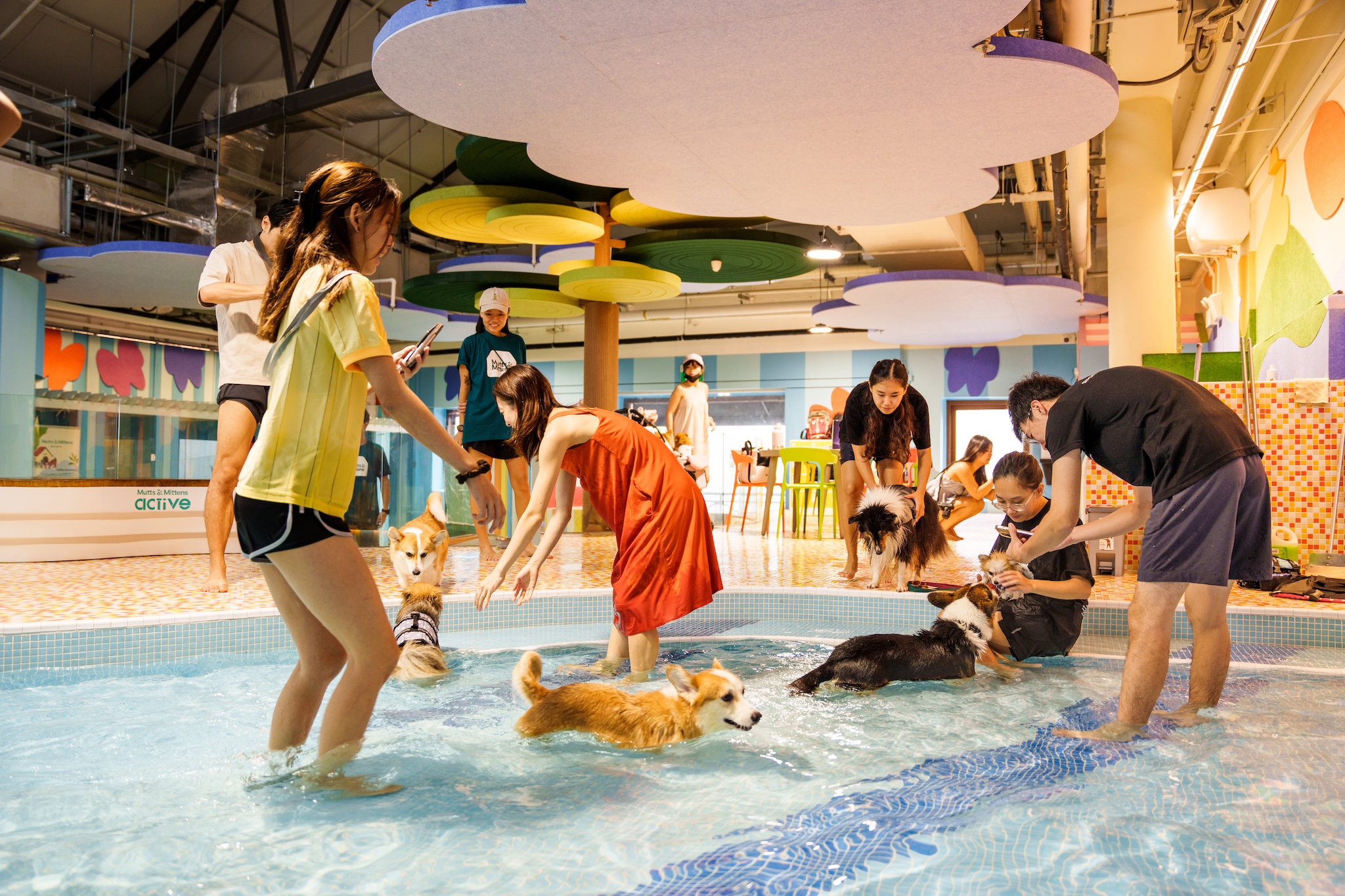 Fort Canine Swimming Club