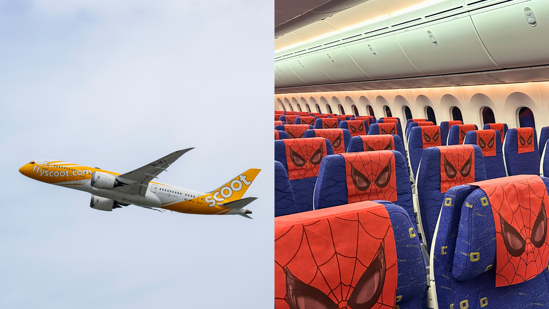 Spider-Man: Brand New Day with Scoot themed aircraft