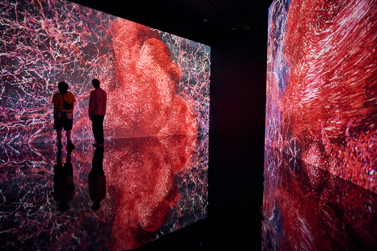 Evolver (2019) by Marshmallow Laser Feast