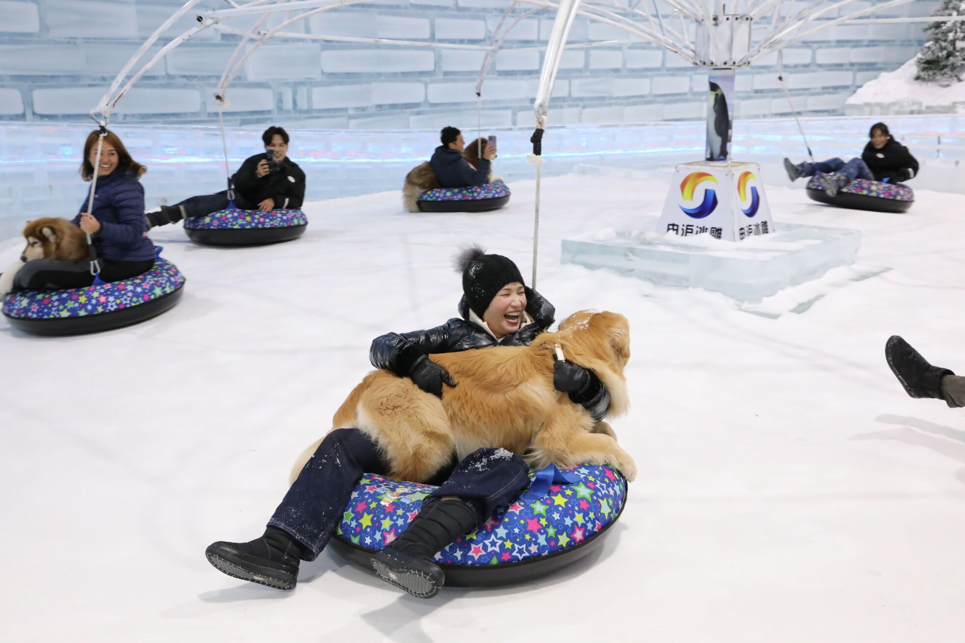 Four Paws @ Ice Magic: dog-friendly winter pop-up in Singapore